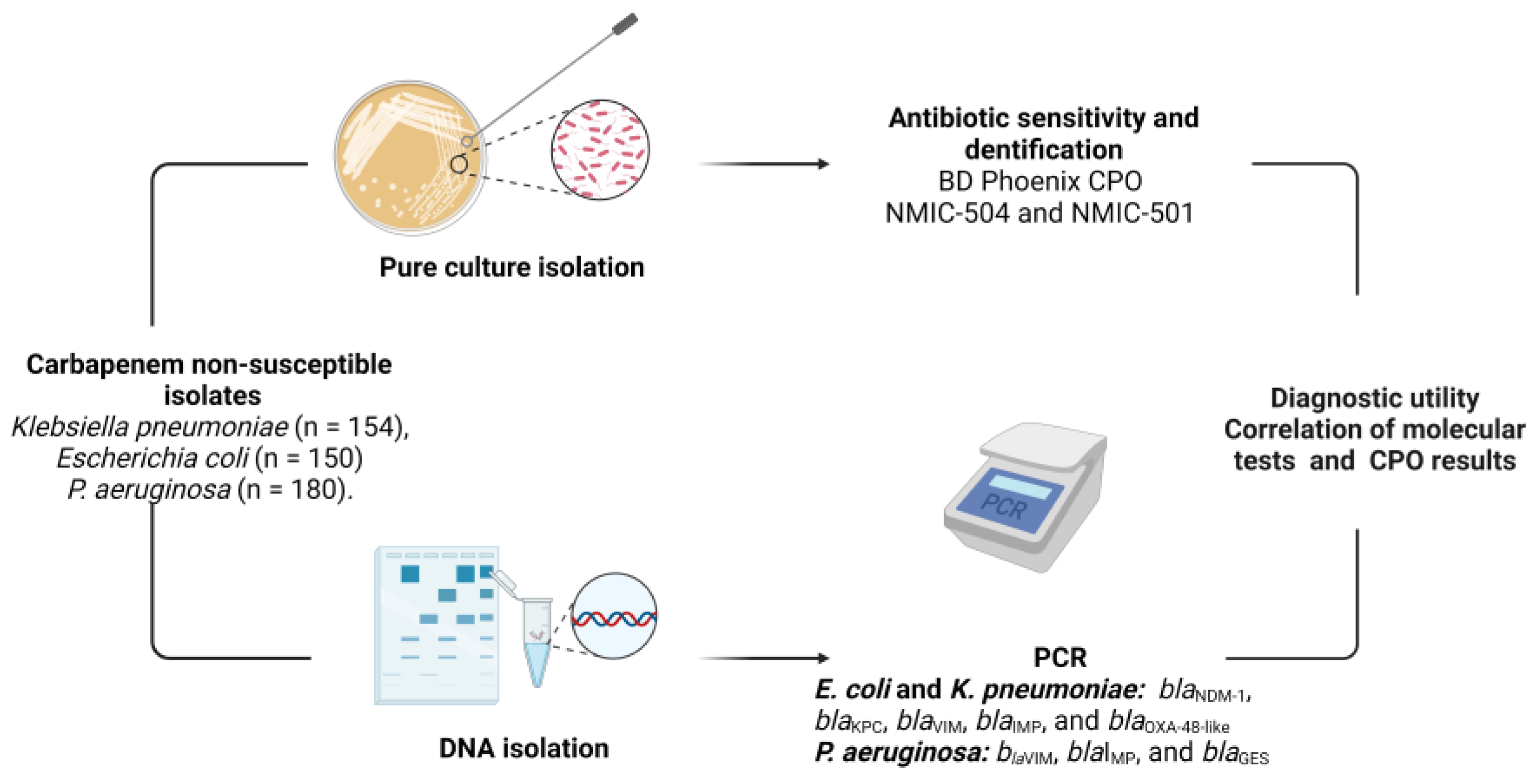 Diagnostics 13 03417 g001 Diagnostics 13 03417 g001