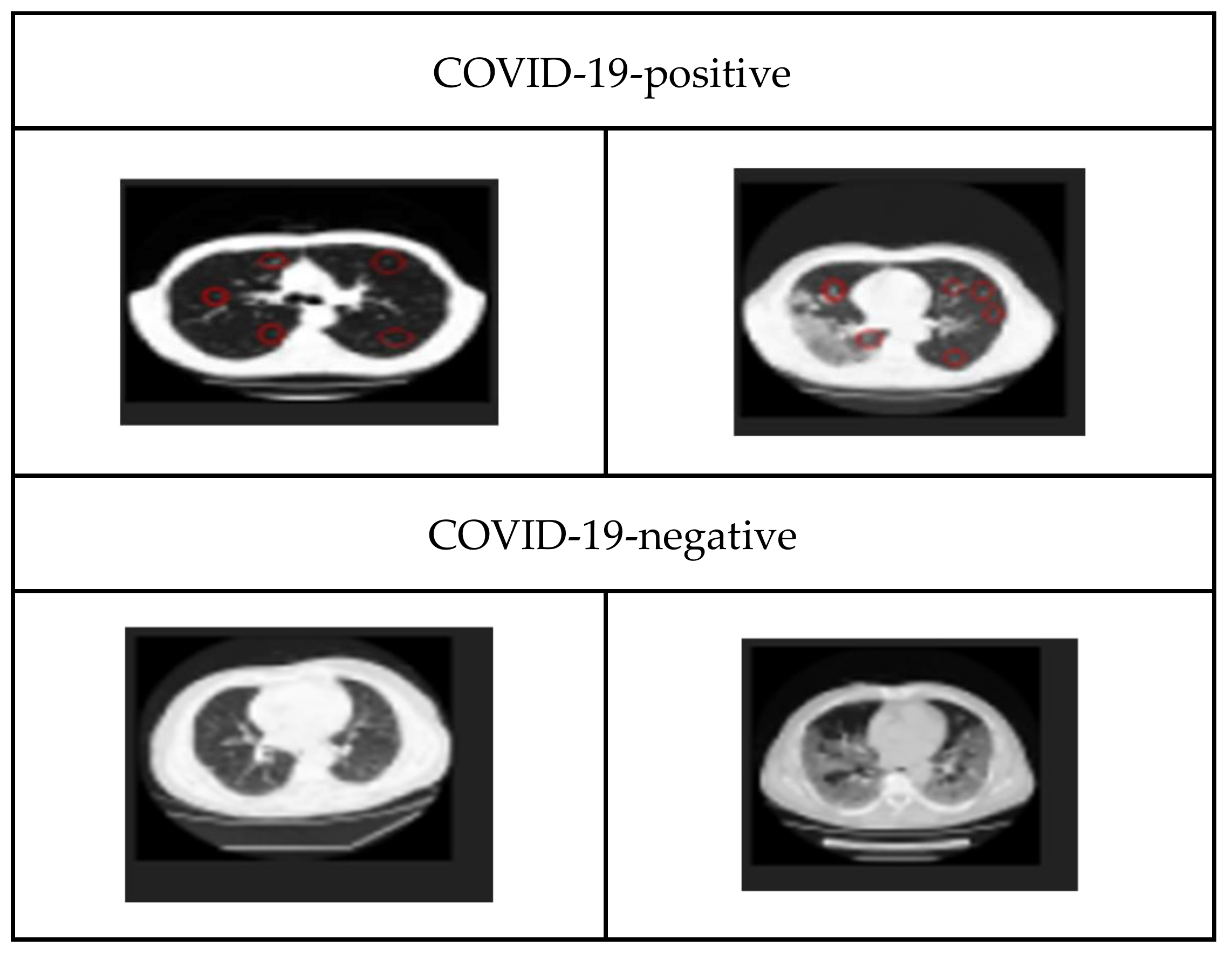 Diagnostics 13 03419 g001