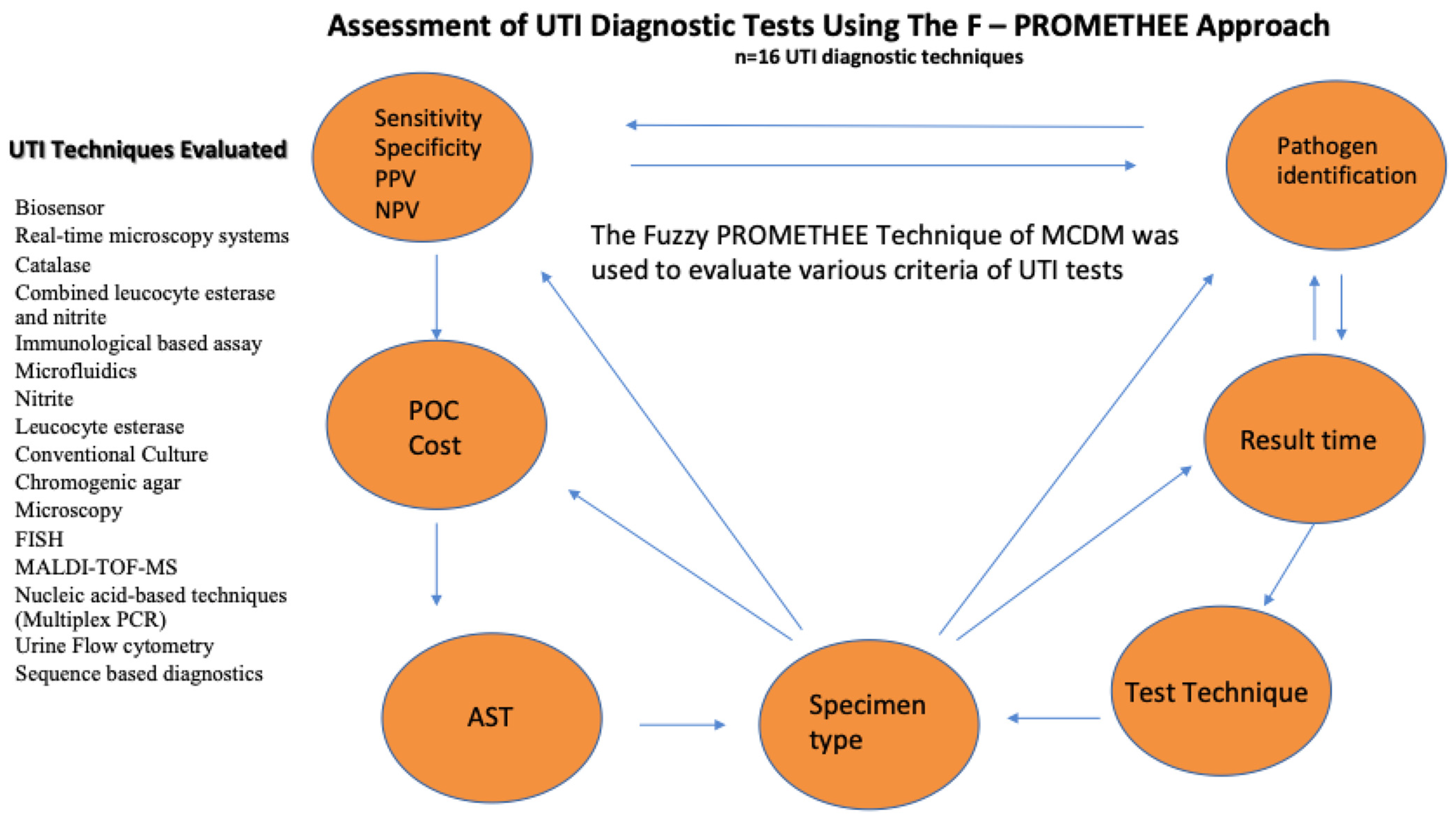 Diagnostics 13 03421 g001