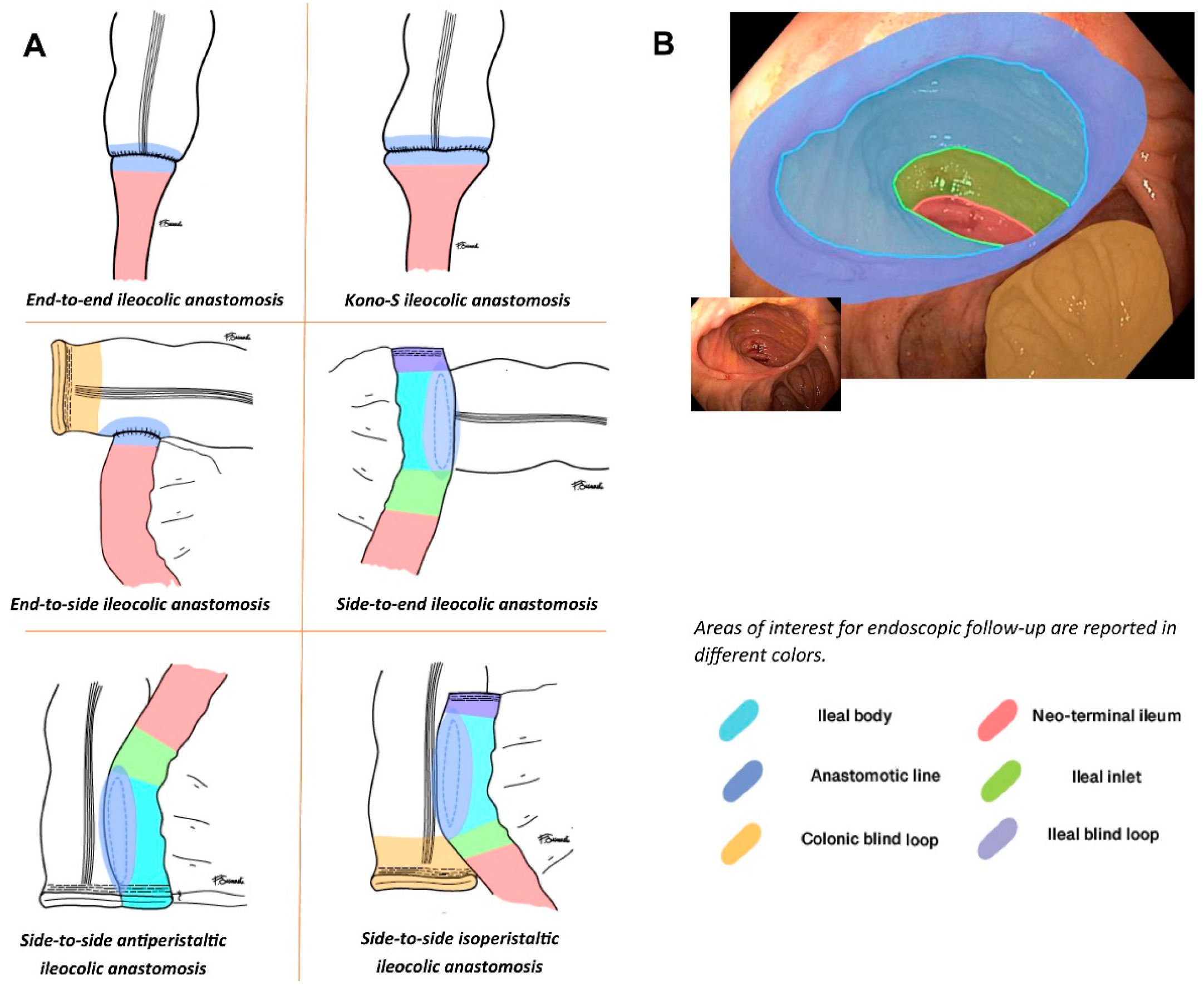 Diagnostics 13 03423 g002