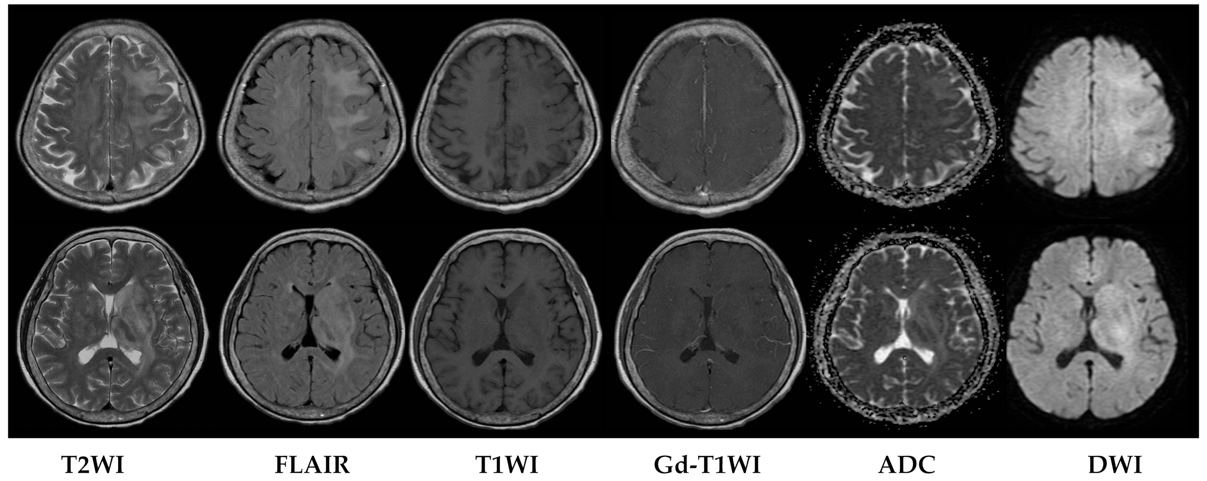Diagnostics 13 03424 g002