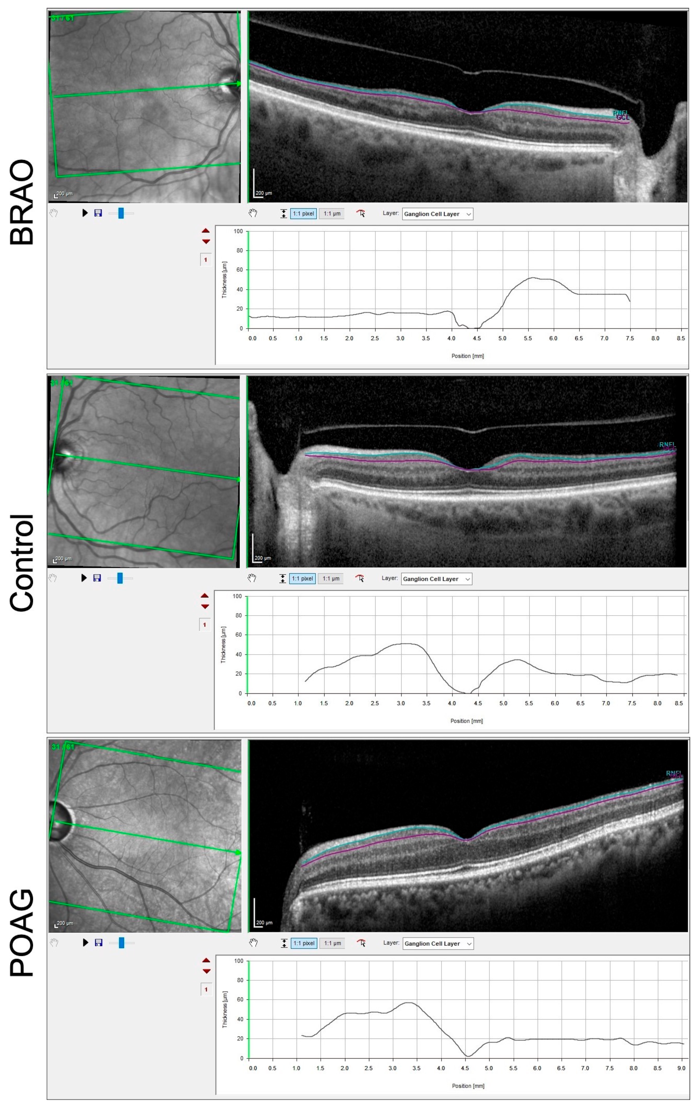 Diagnostics 13 03428 g002