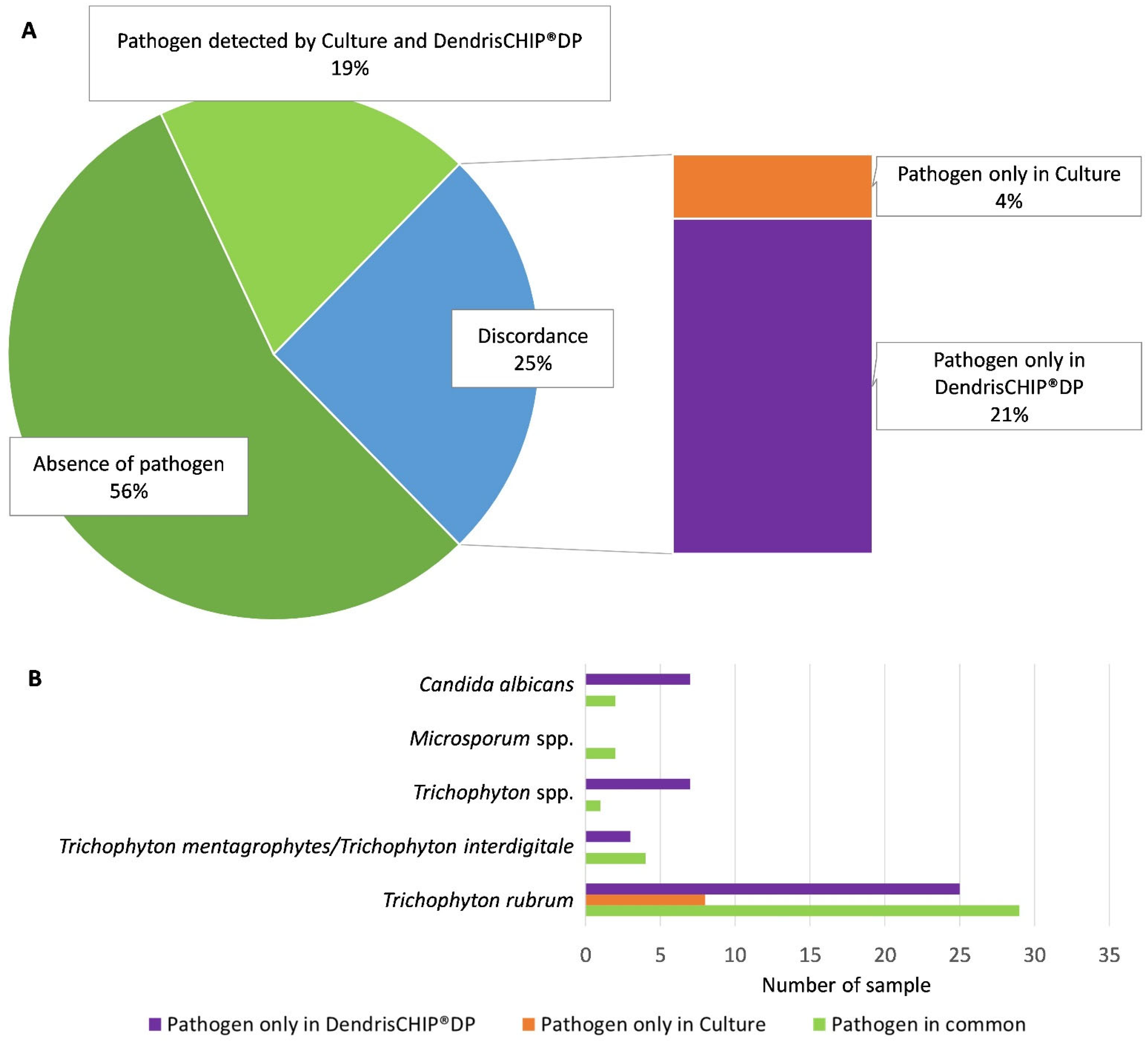 Diagnostics 13 03430 g002