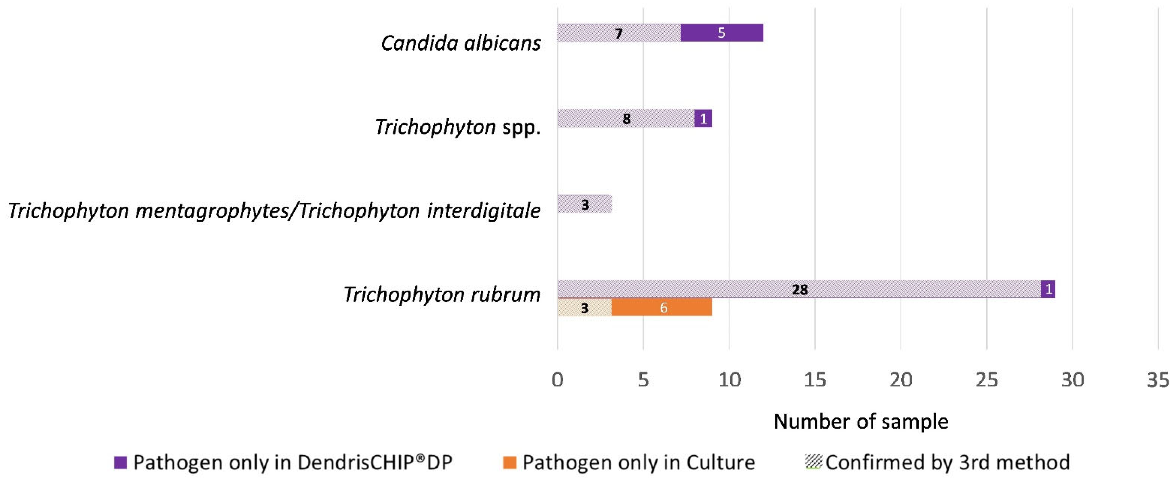 Diagnostics 13 03430 g003
