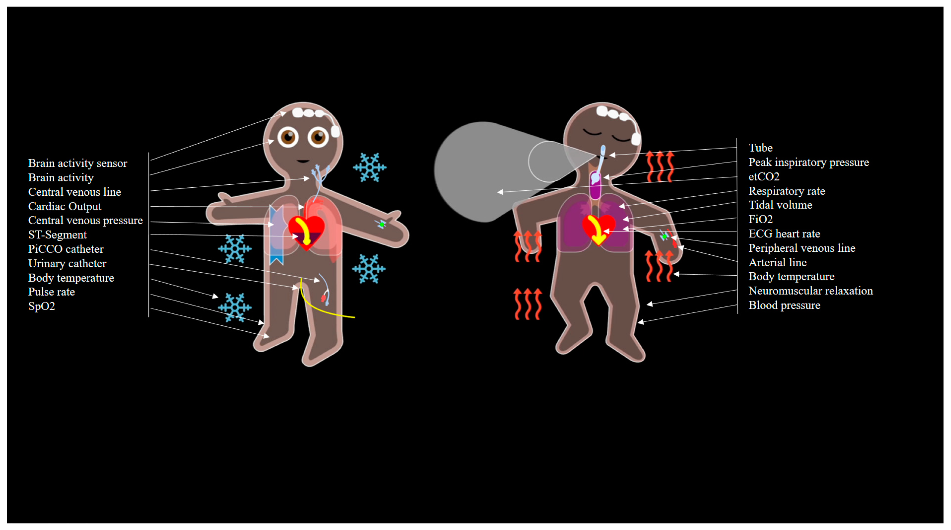 Diagnostics 13 03432 g001