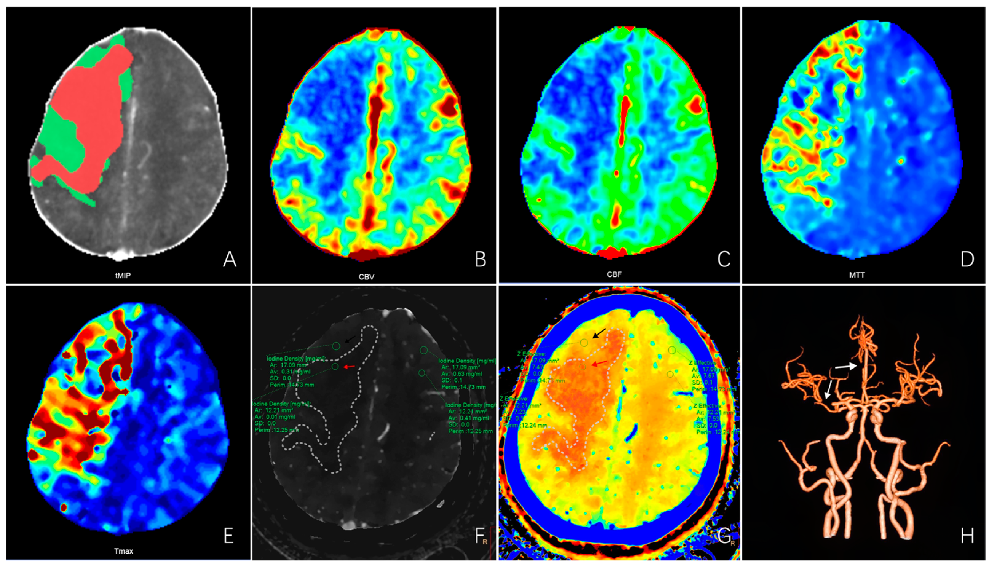Diagnostics 13 03434 g001