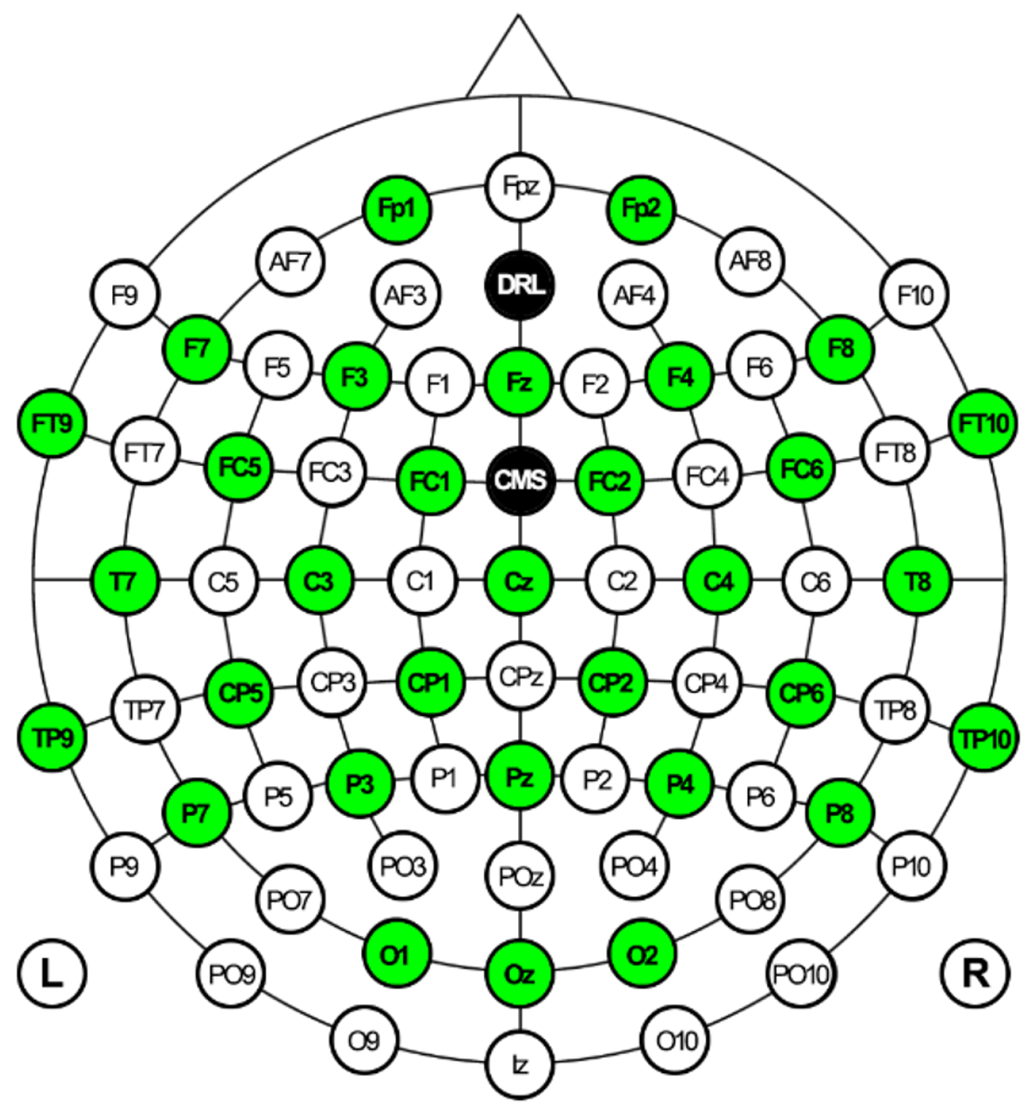 Diagnostics 13 03437 g007