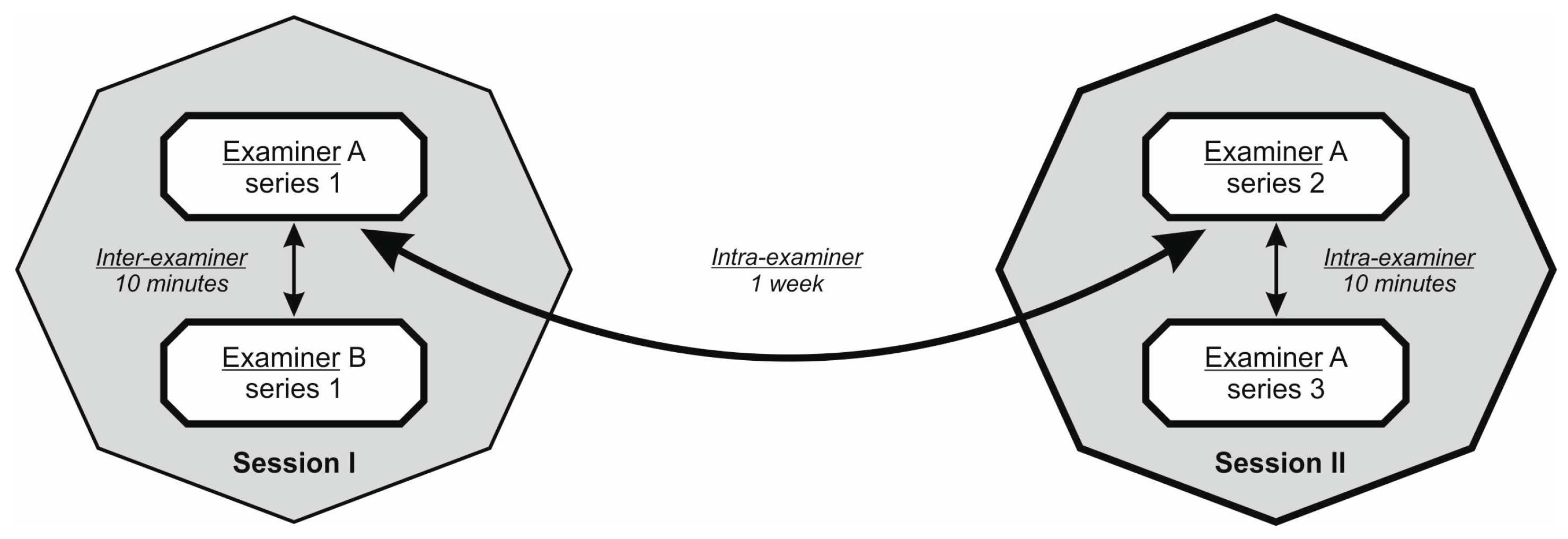 Diagnostics 13 03438 g002