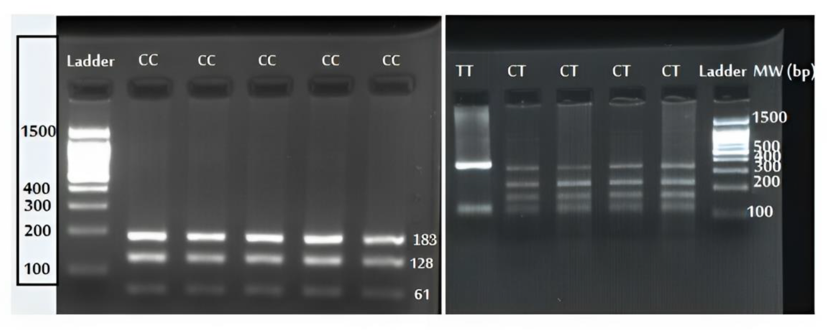 Diagnostics 13 03442 g001