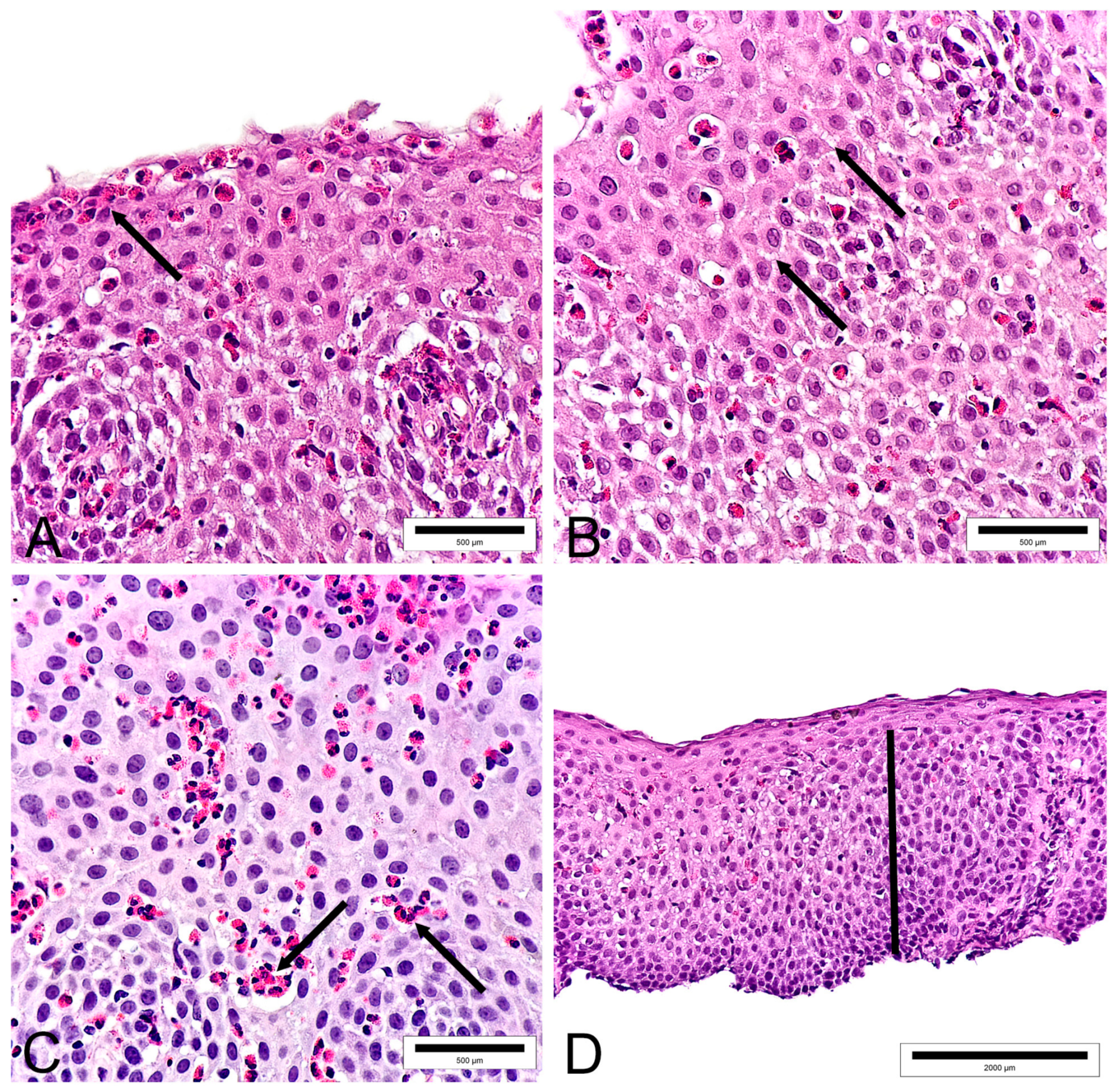Diagnostics 13 03445 g001