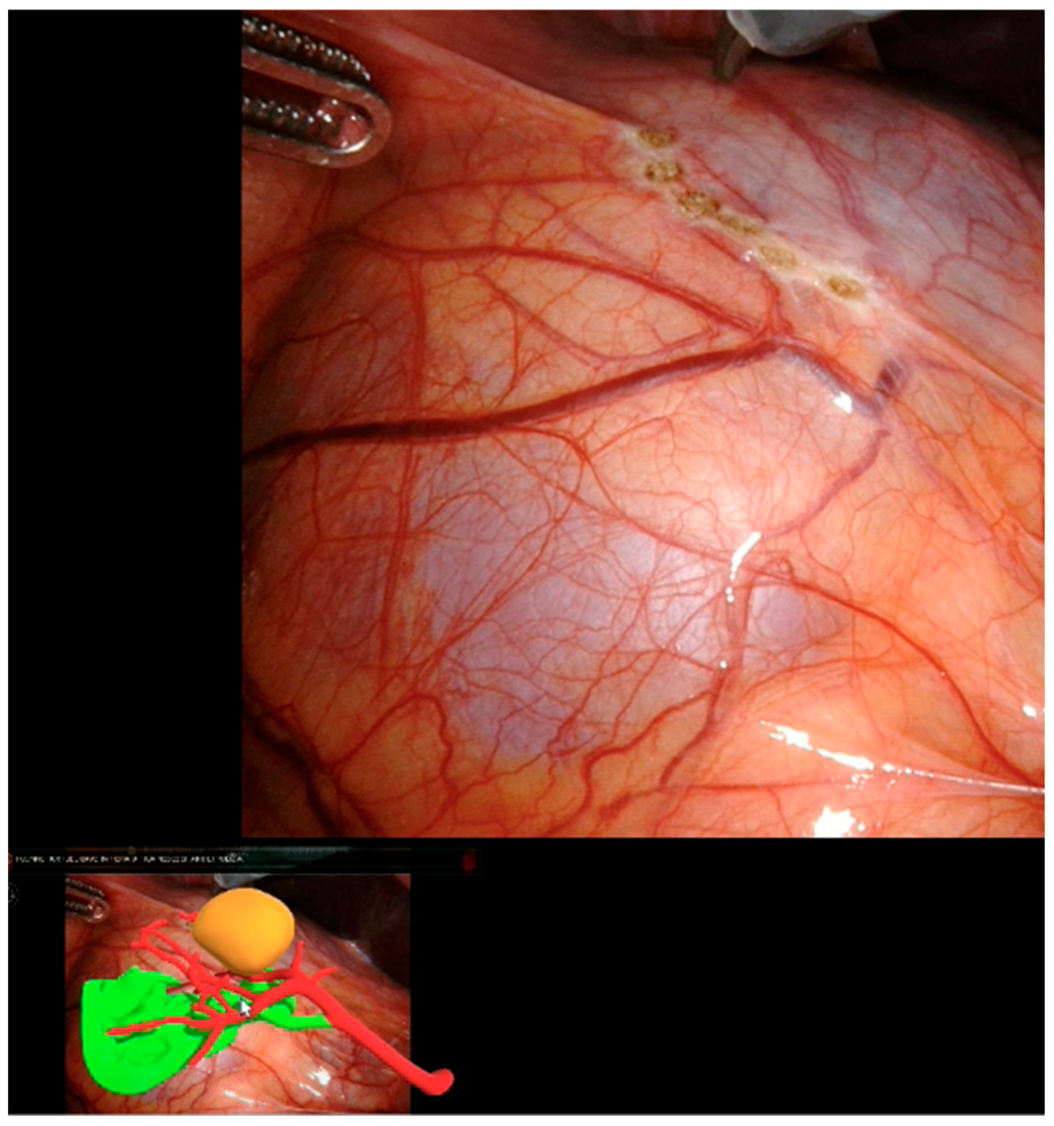 Diagnostics 13 03454 g001