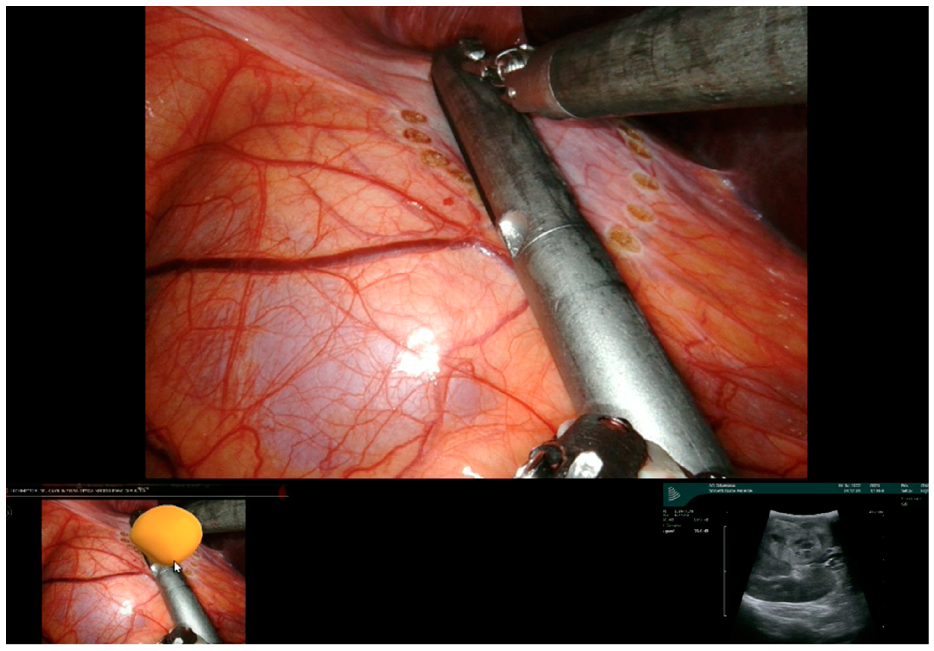 Diagnostics 13 03454 g002