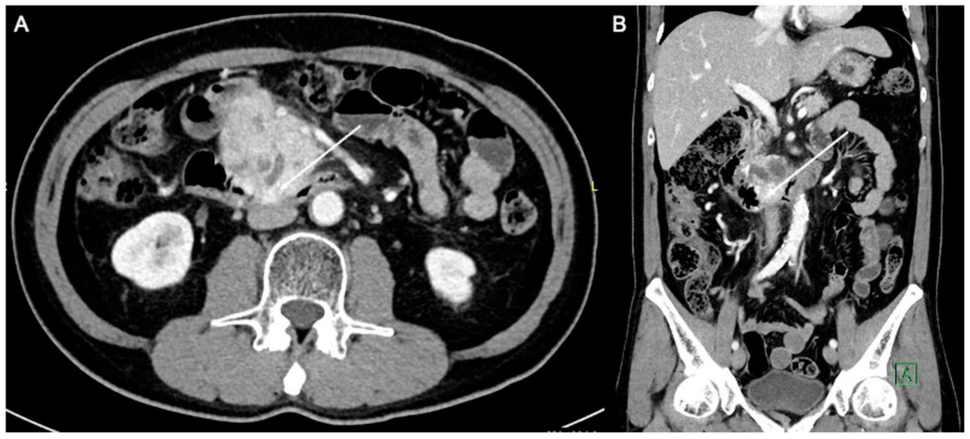 Diagnostics 13 03458 g001
