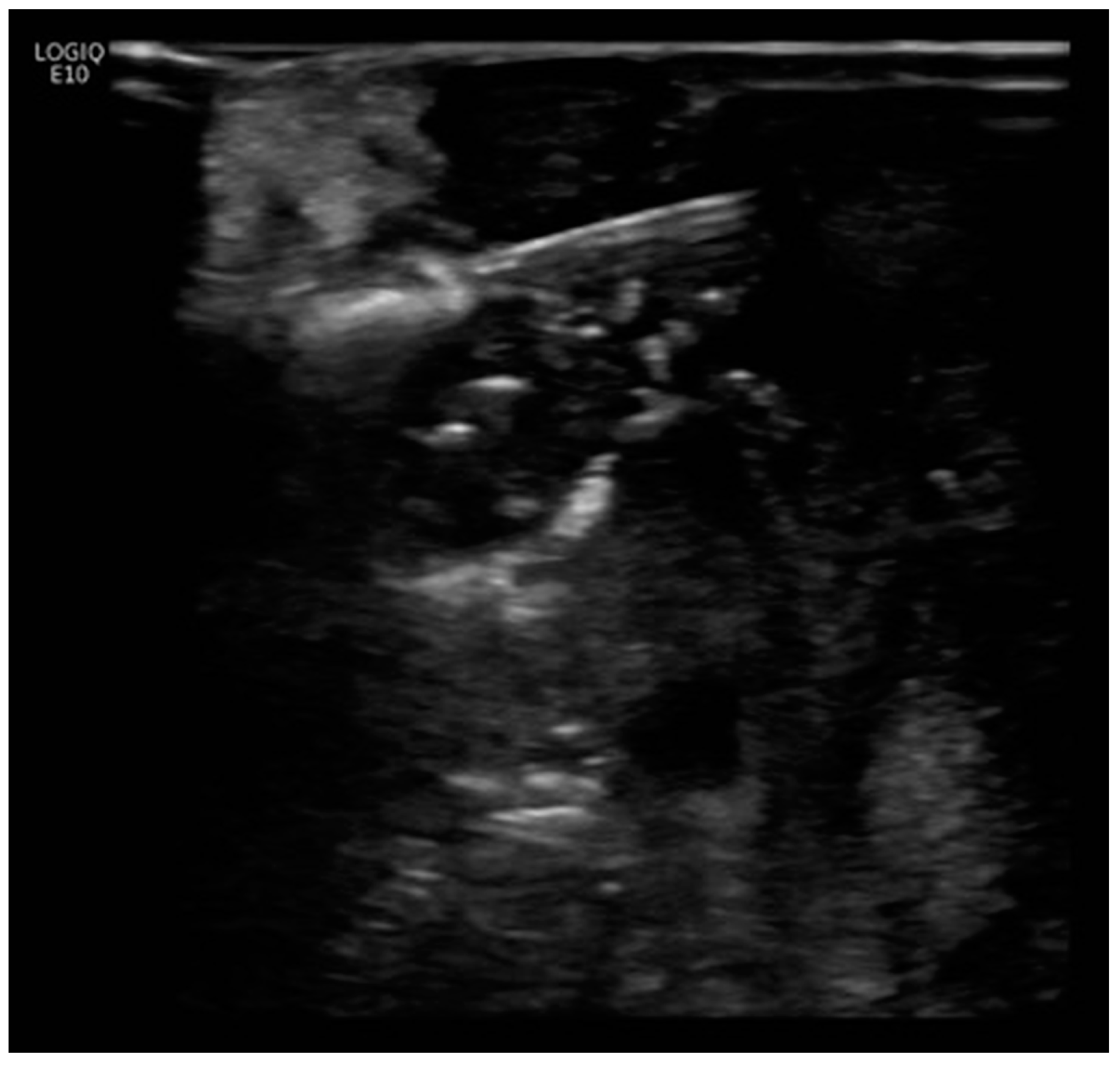 Diagnostics 13 03458 g002