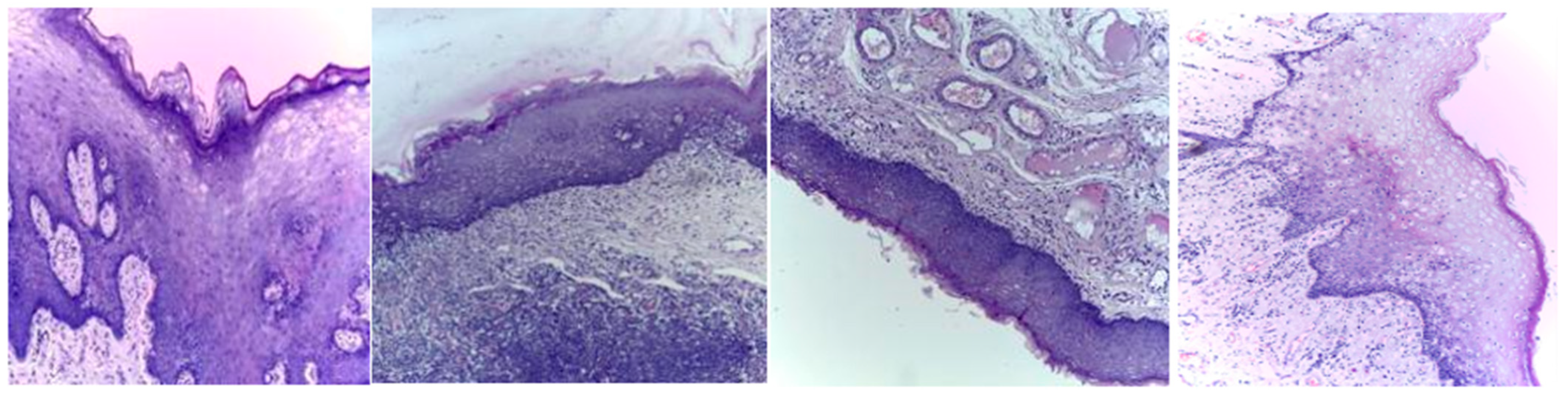 Diagnostics 13 03461 g001