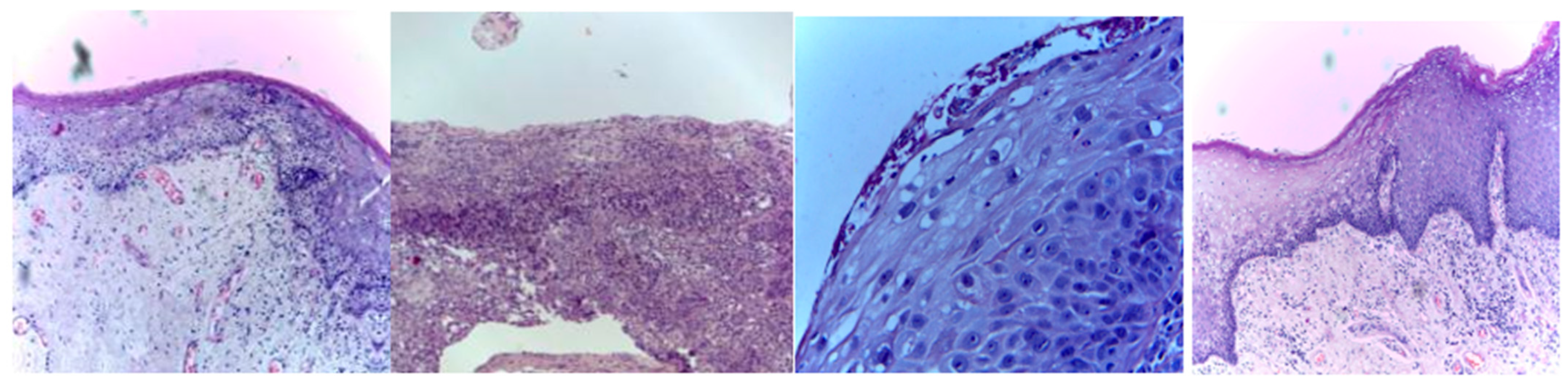 Diagnostics 13 03461 g002