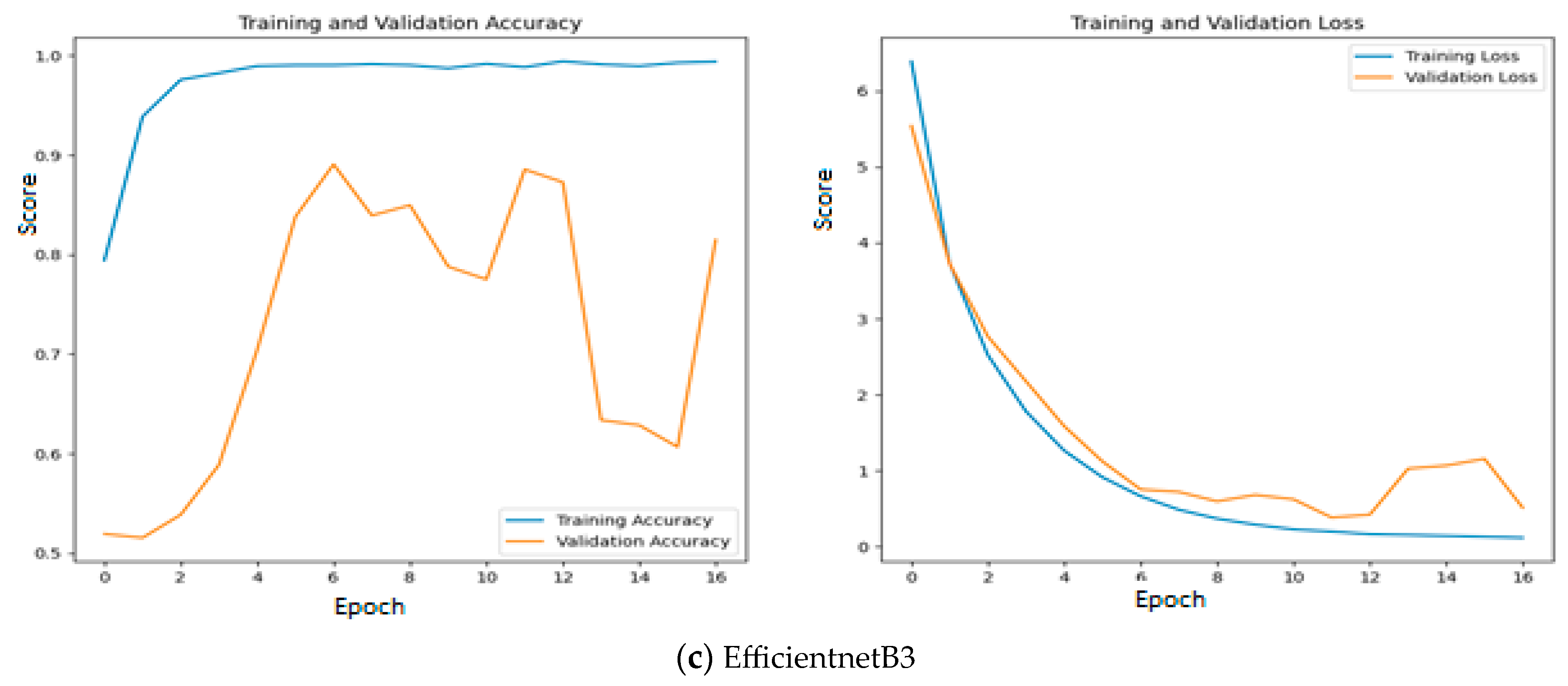 Diagnostics 13 03461 g012b