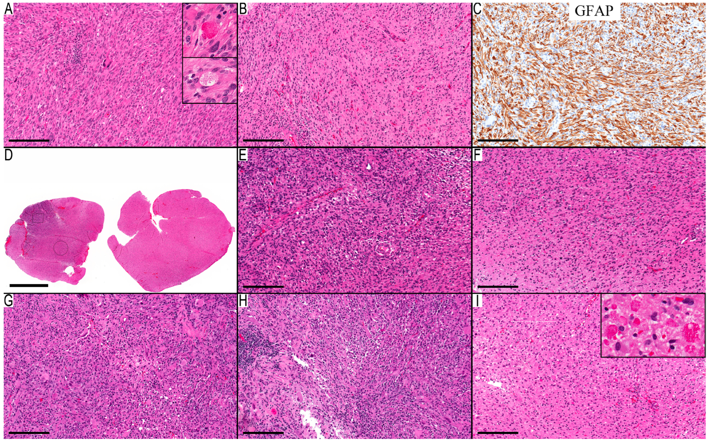 Diagnostics 13 03464 g001