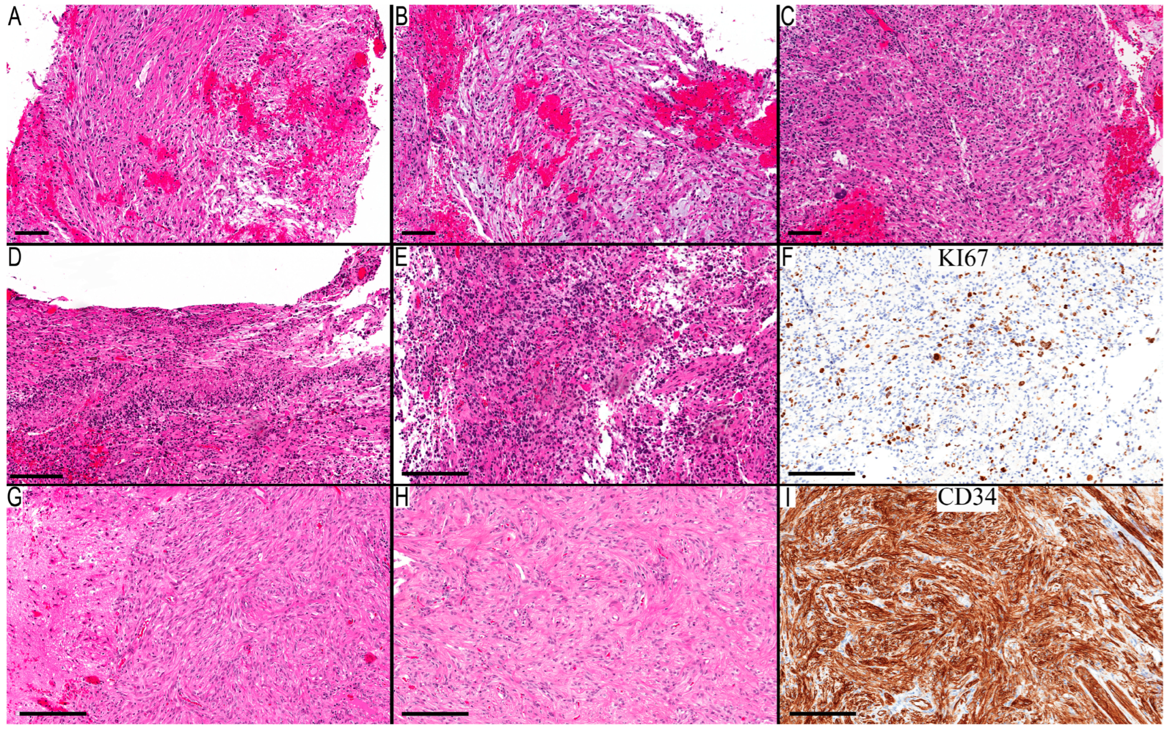 Diagnostics 13 03464 g002