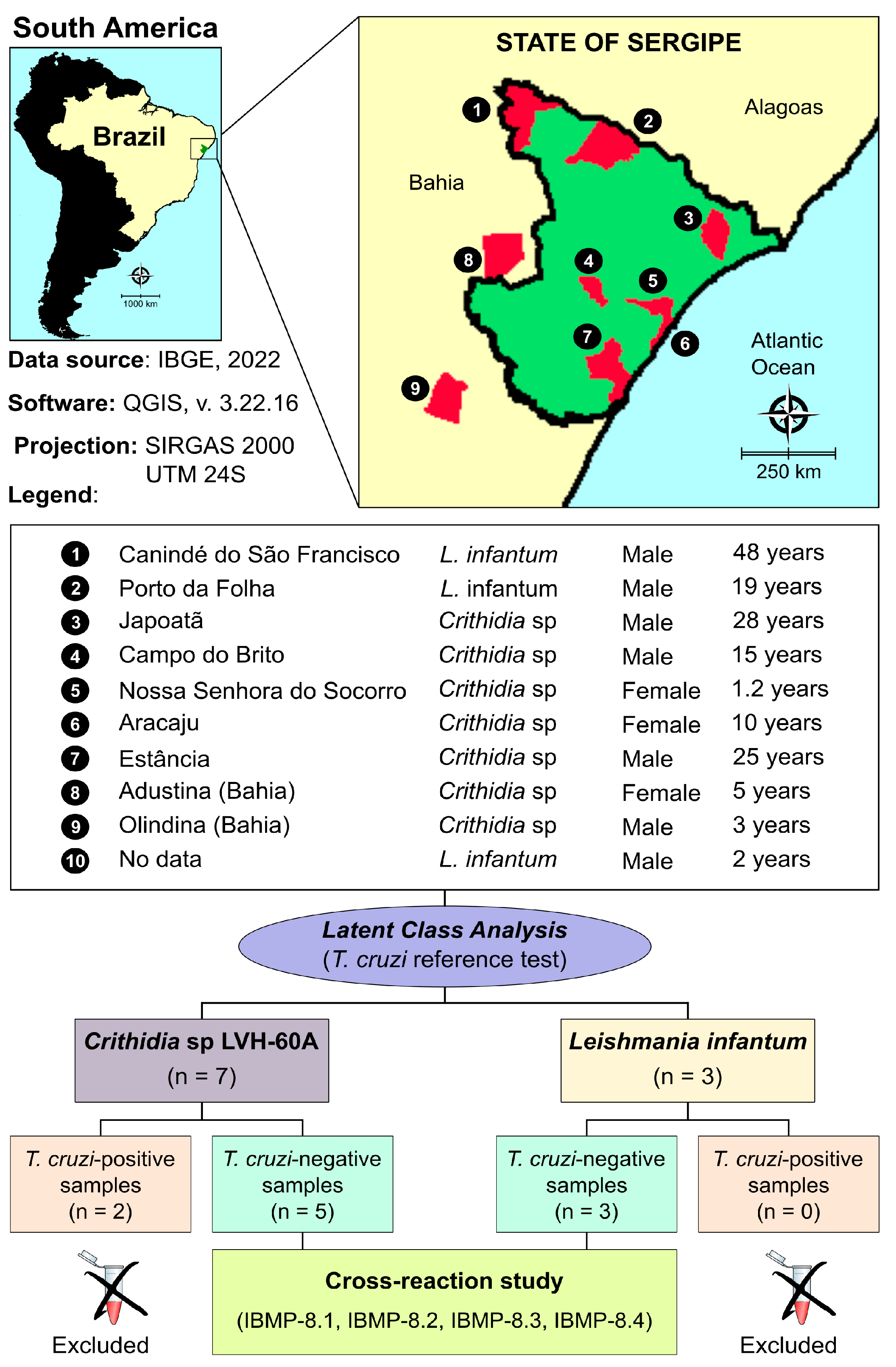 Diagnostics 13 03470 g001