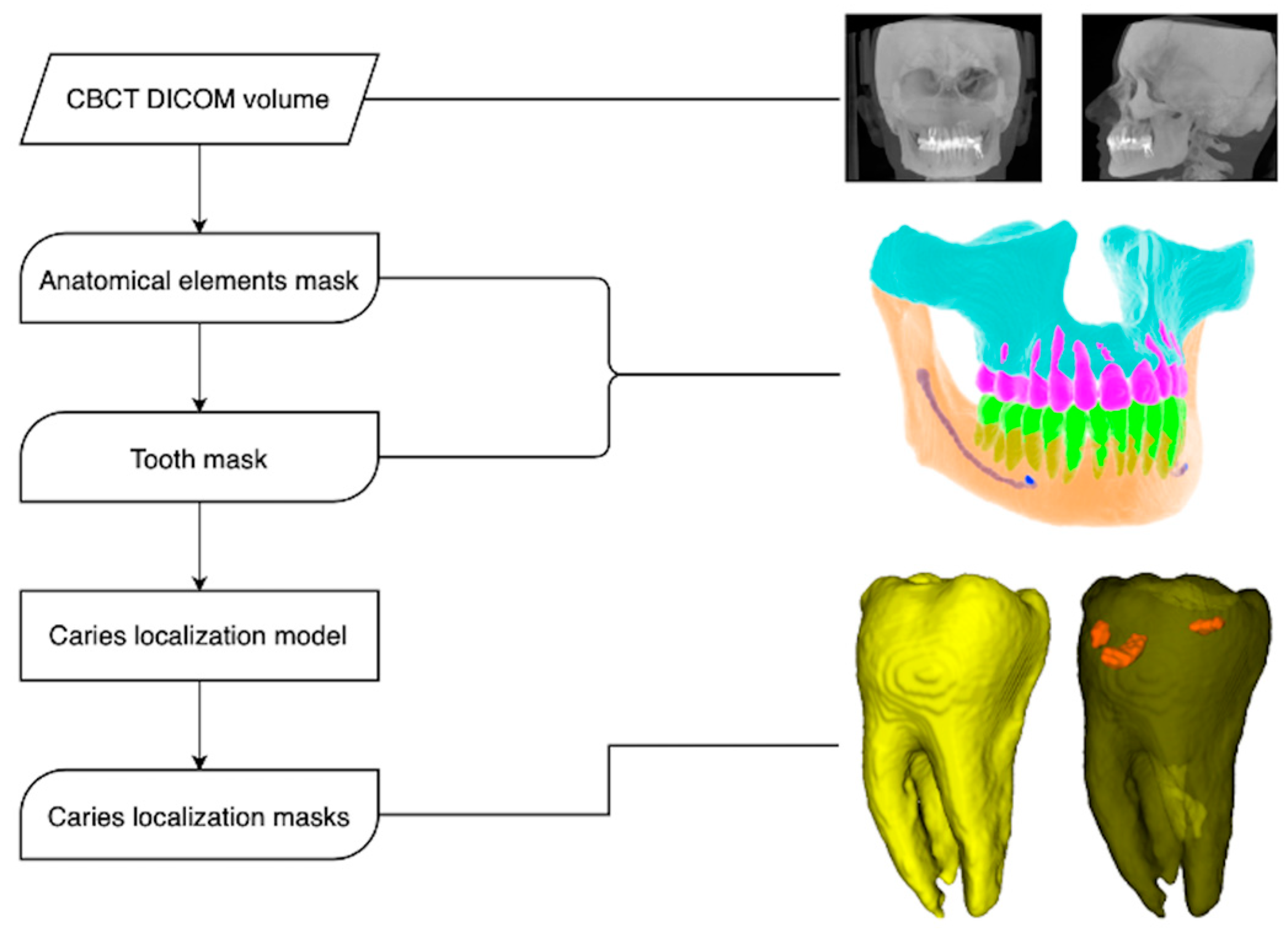 Diagnostics 13 03471 g003