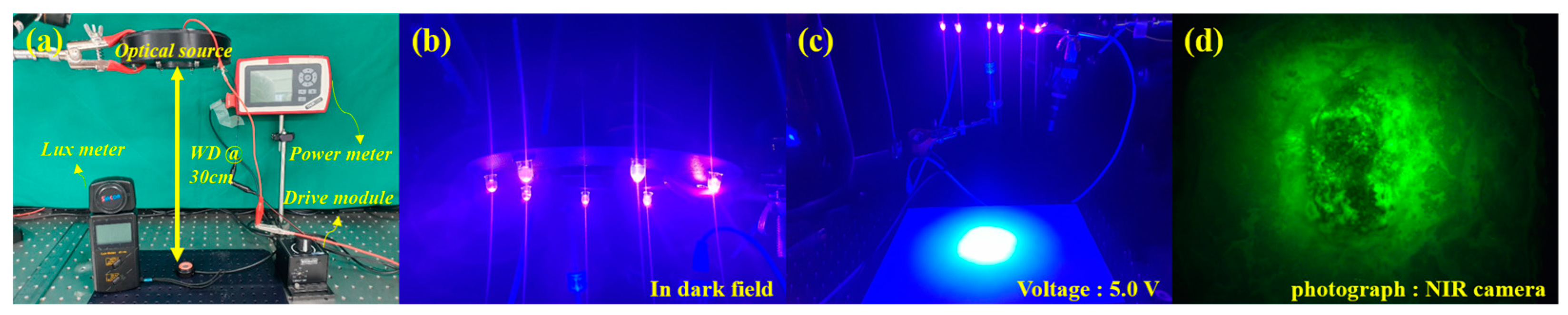 Diagnostics 13 03482 g005