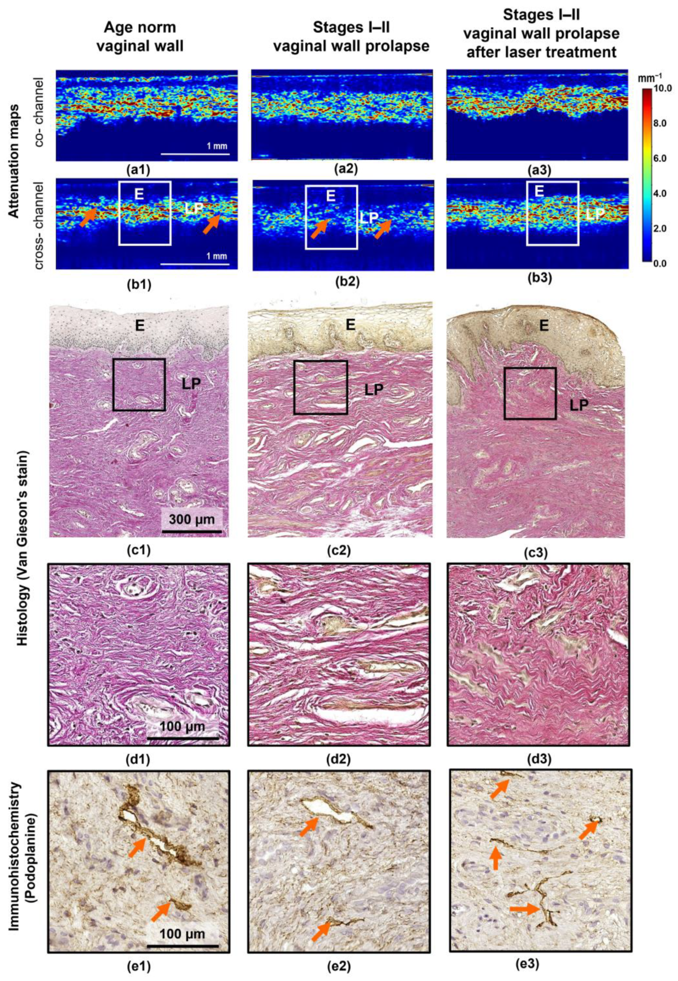 Diagnostics 13 03487 g002
