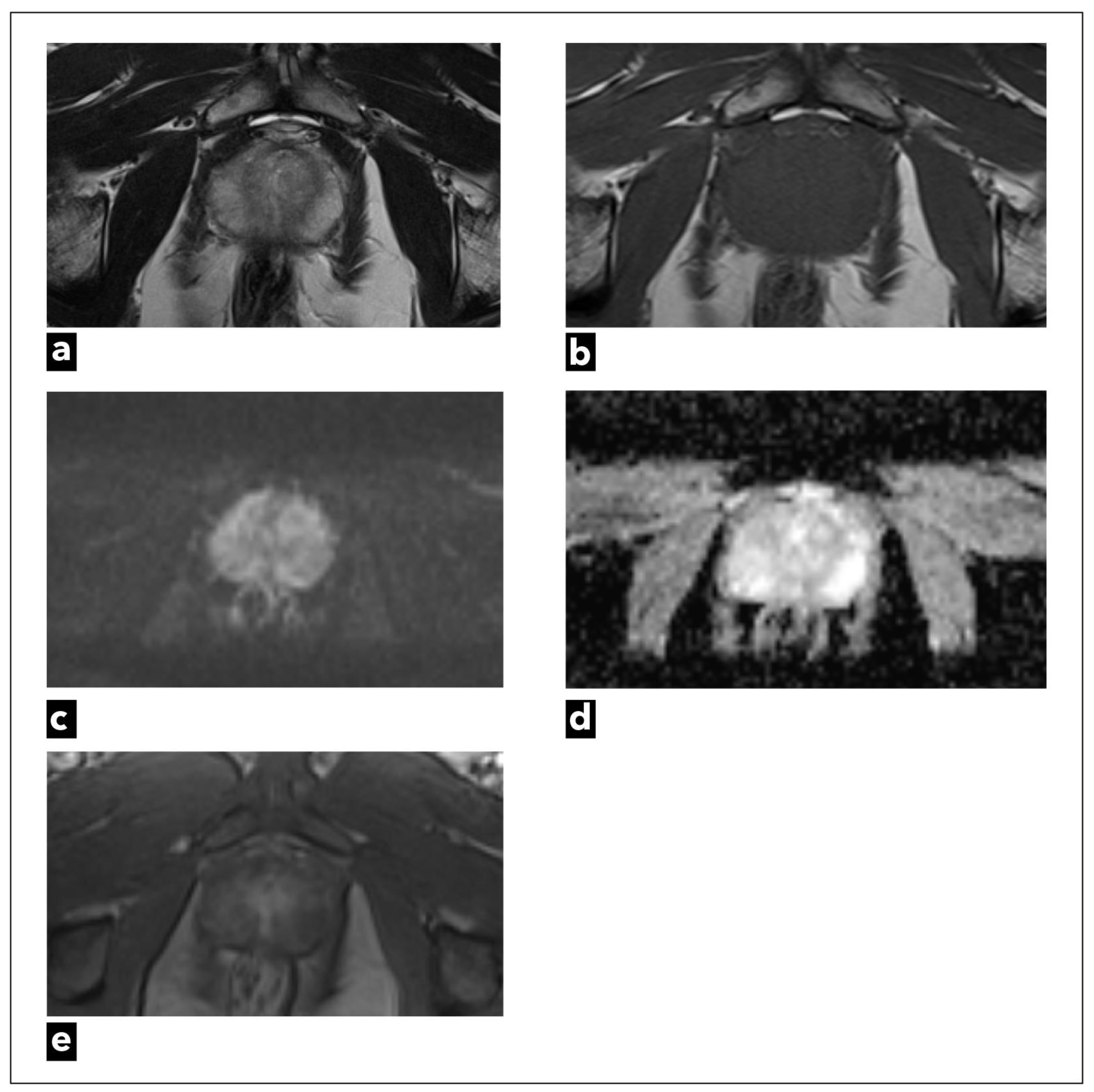 Diagnostics 13 03488 g001