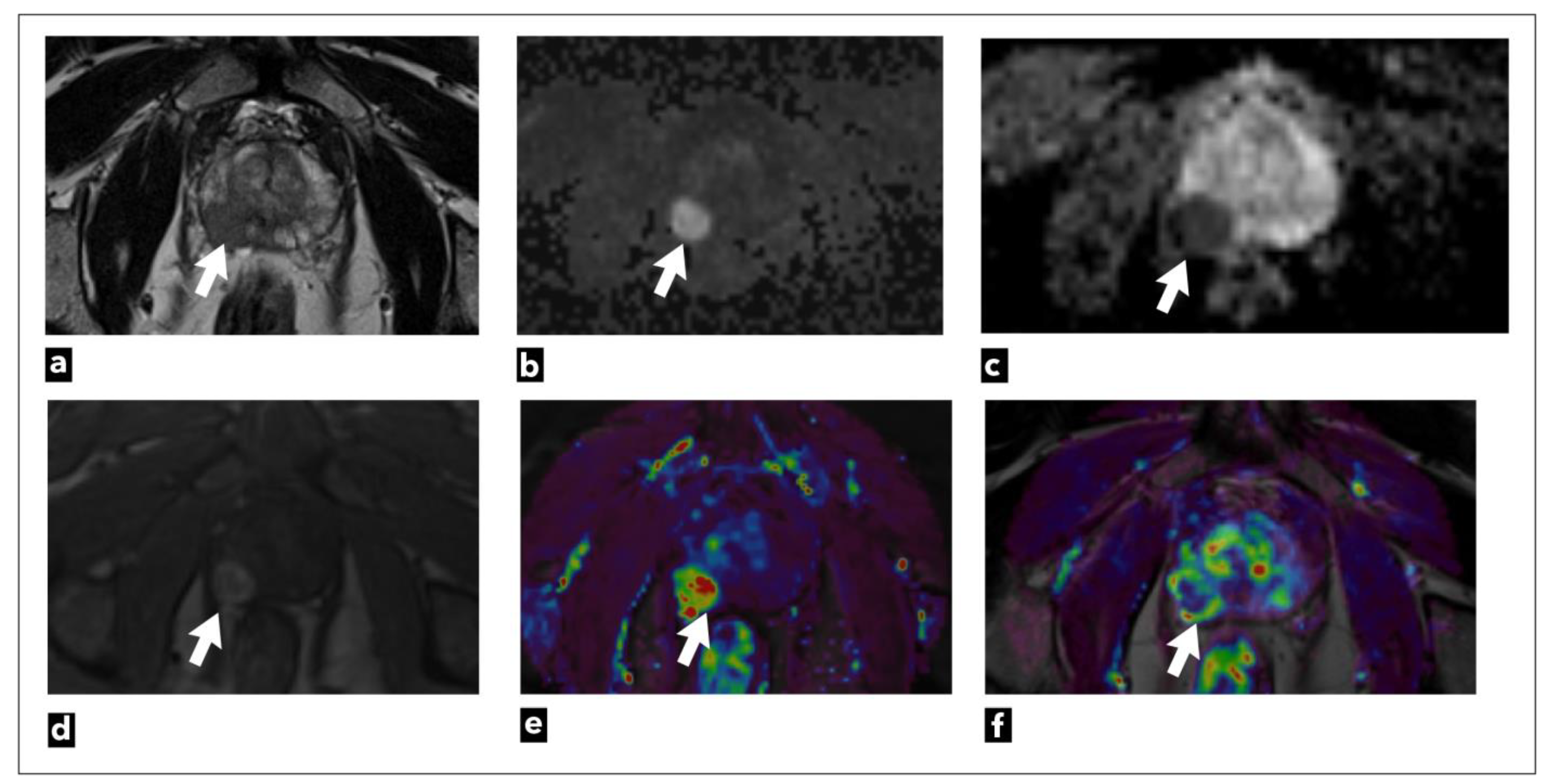 Diagnostics 13 03488 g002