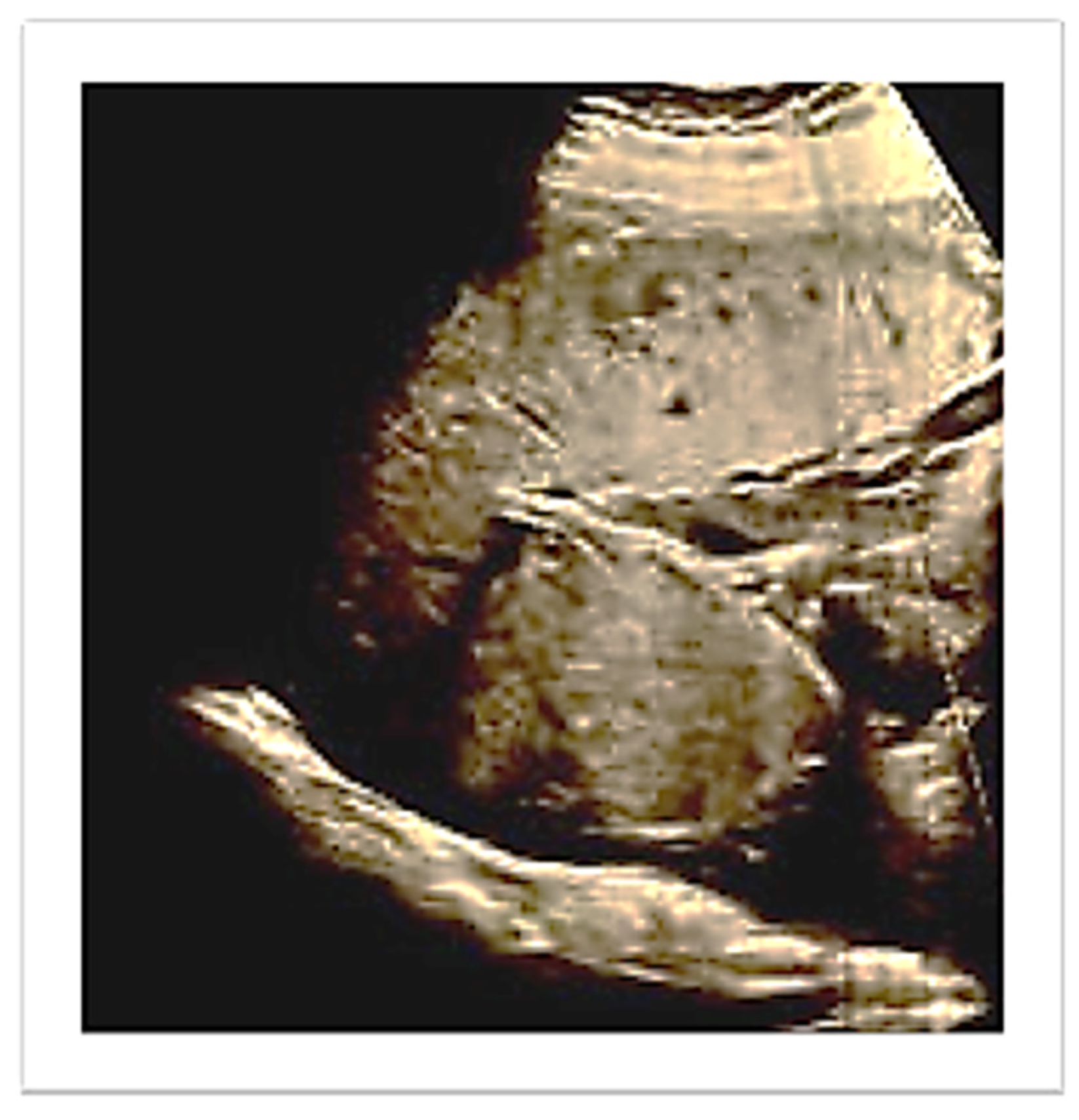 Diagnostics 13 03492 g001