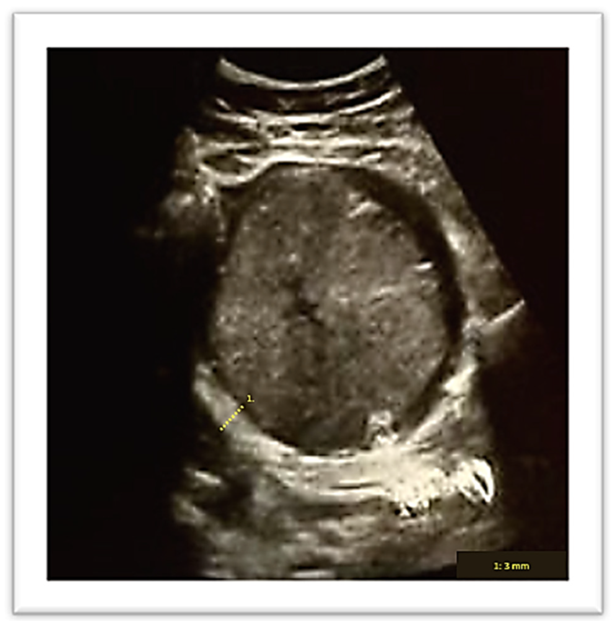 Diagnostics 13 03492 g002