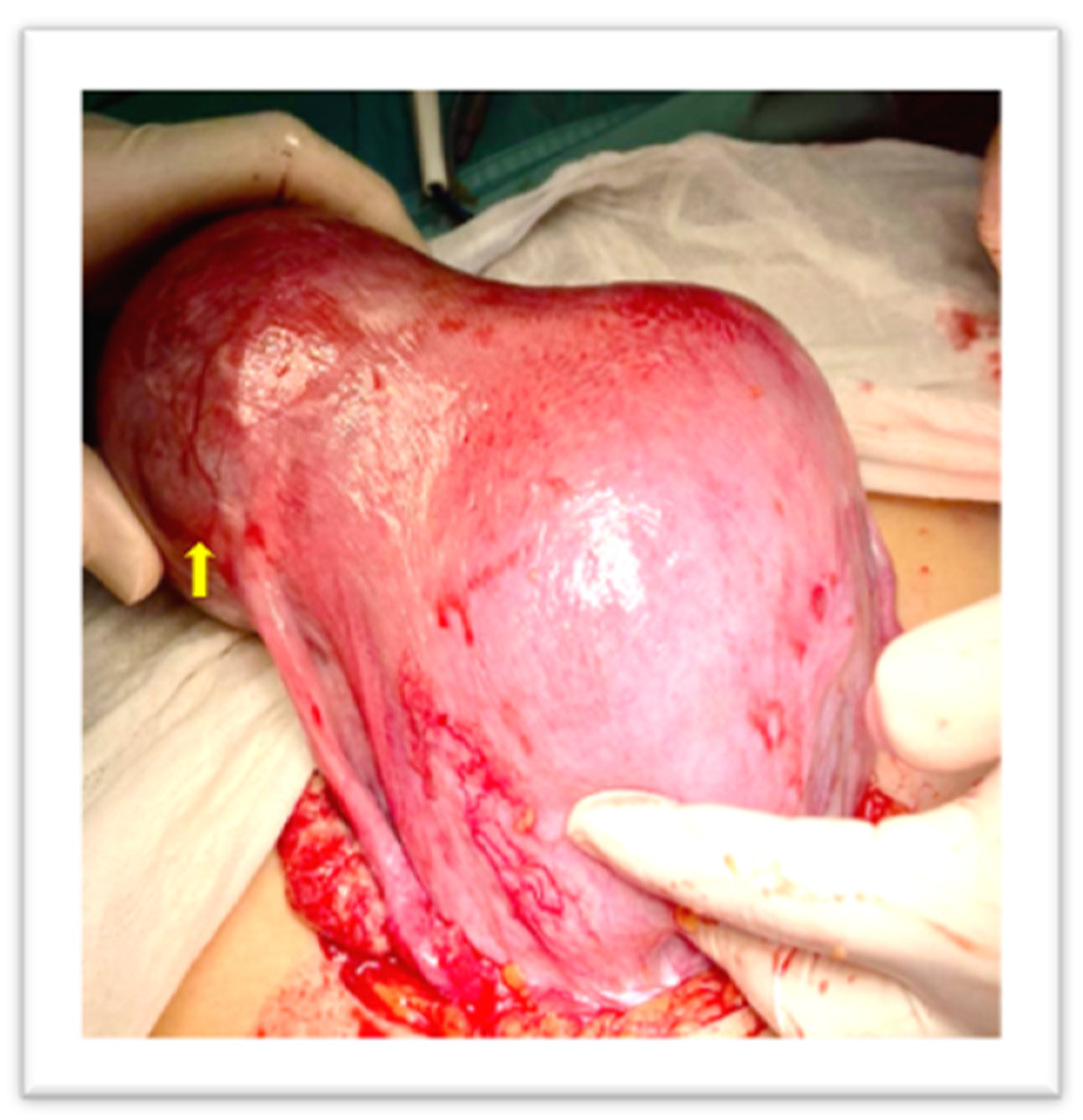 Diagnostics 13 03492 g003