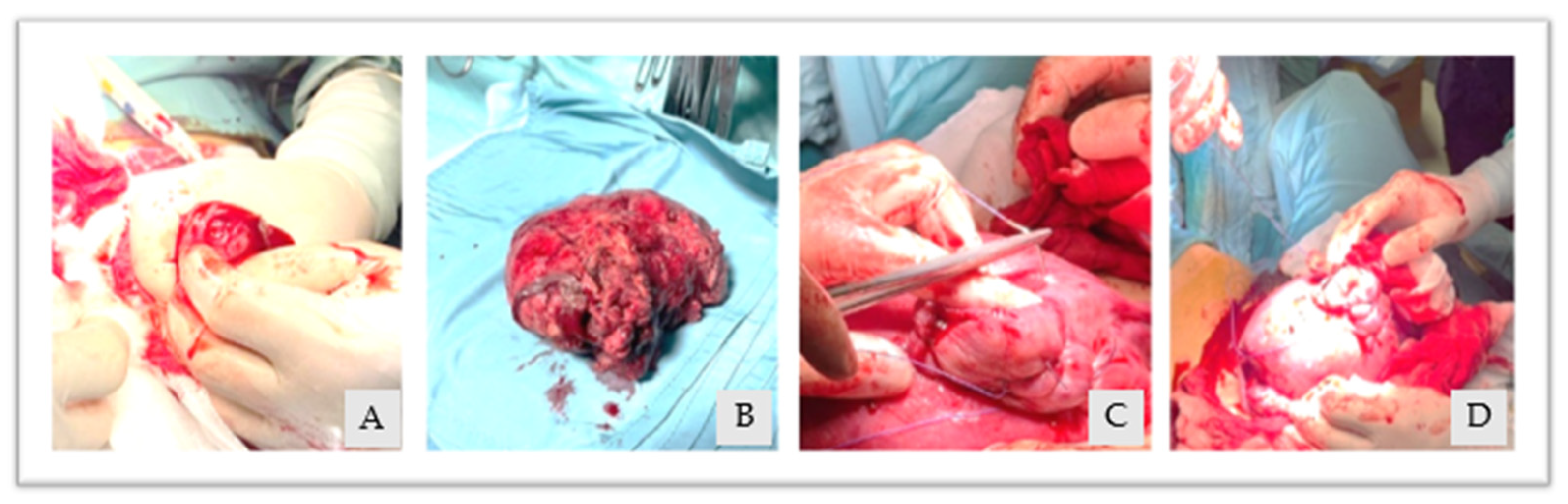 Diagnostics 13 03492 g004