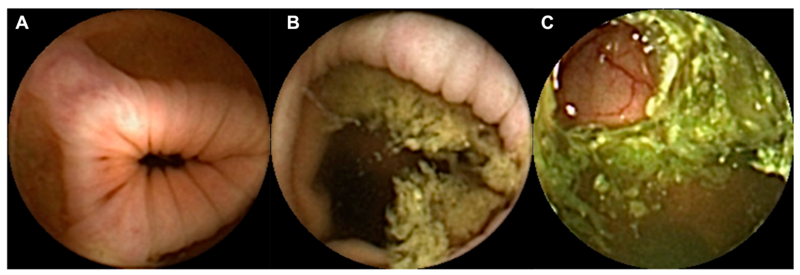 Diagnostics 13 03494 g001