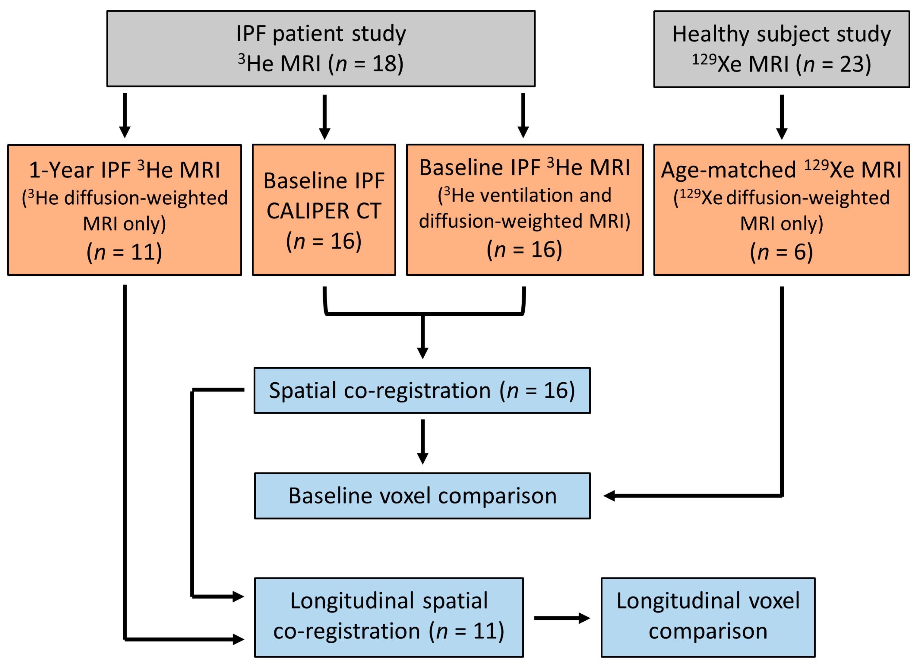 Diagnostics 13 03497 g001