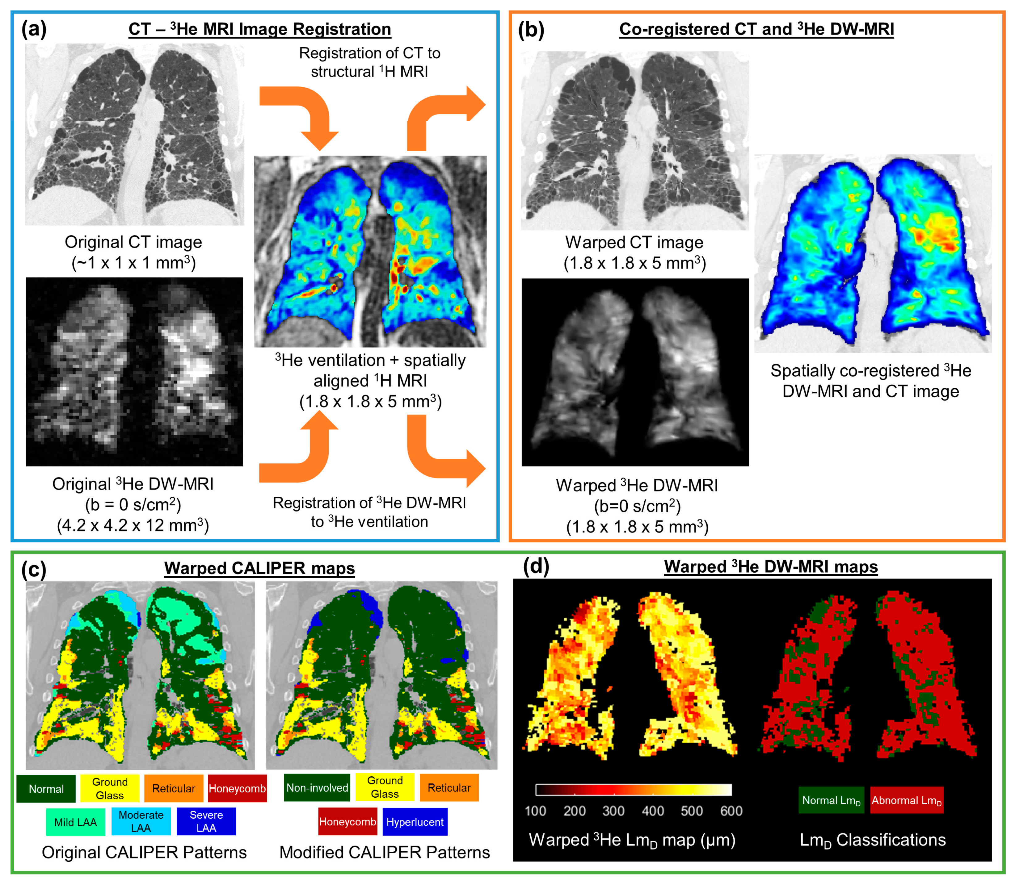 Diagnostics 13 03497 g002