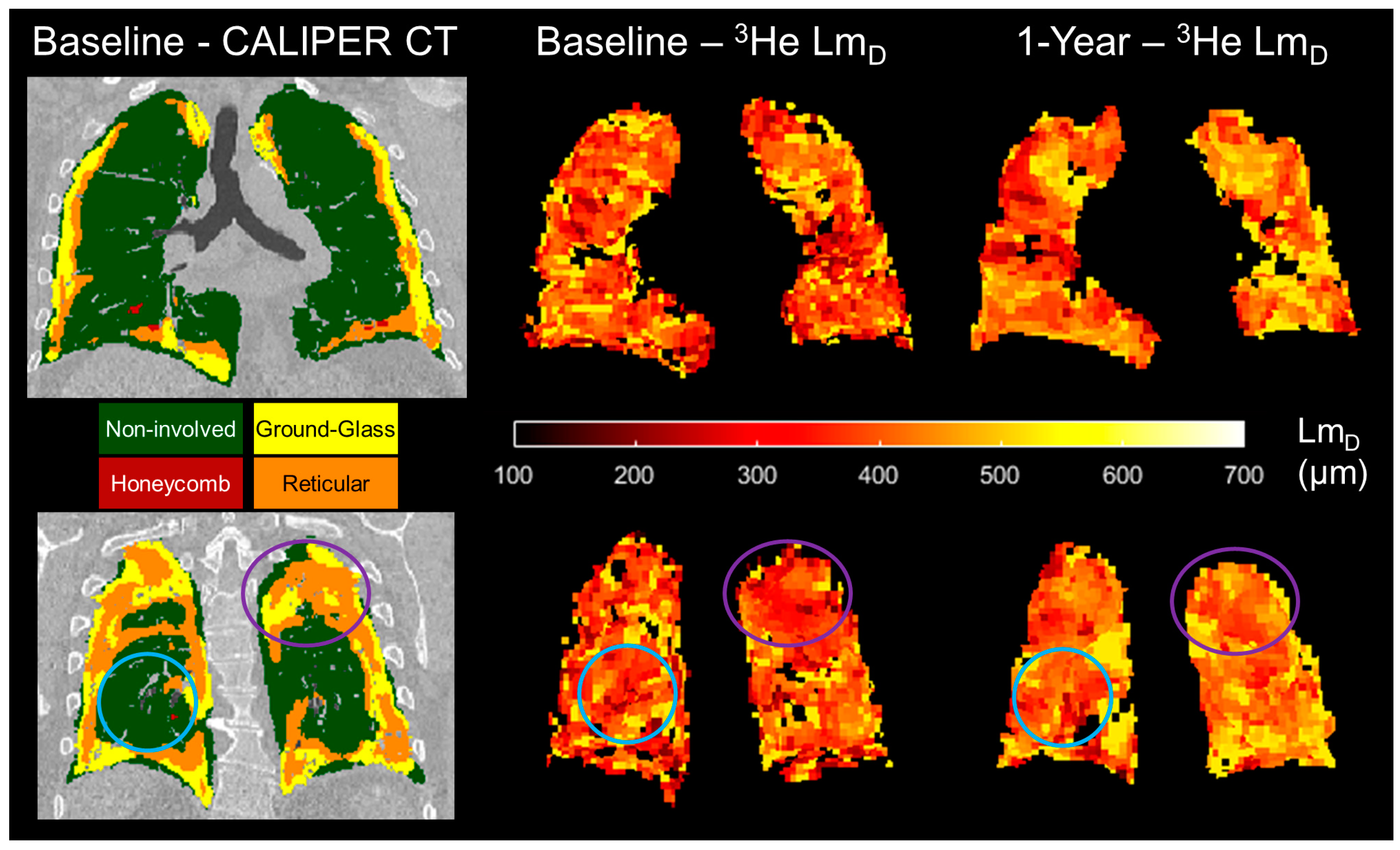 Diagnostics 13 03497 g006