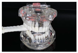 Diagnostics 13 03498 i001