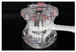 Diagnostics 13 03498 i002