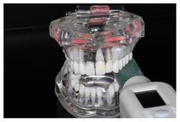 Diagnostics 13 03498 i004