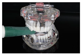 Diagnostics 13 03498 i005