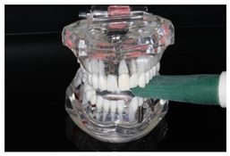 Diagnostics 13 03498 i006