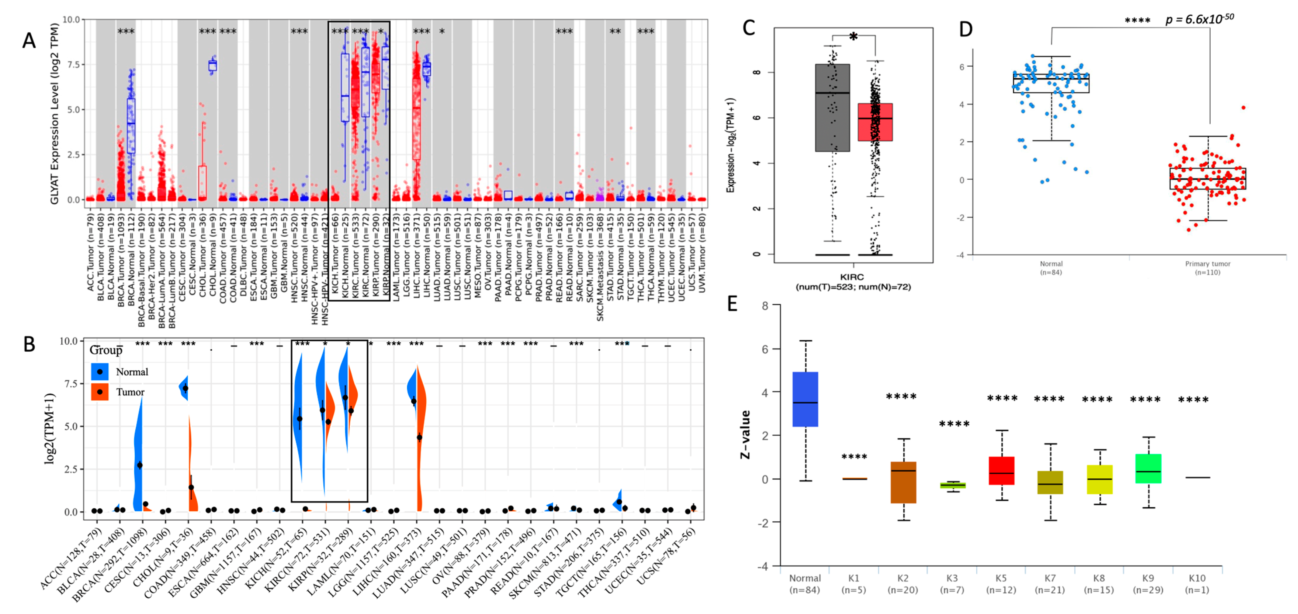 Diagnostics 13 03505 g002a
