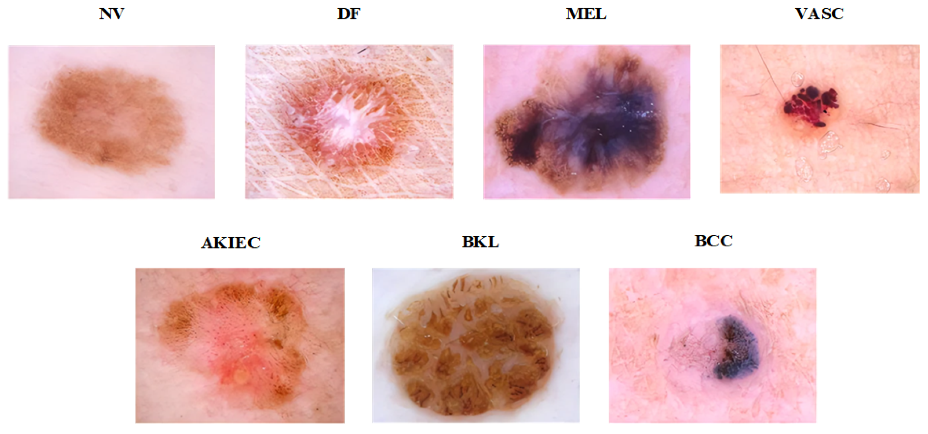 Diagnostics 13 03506 g004