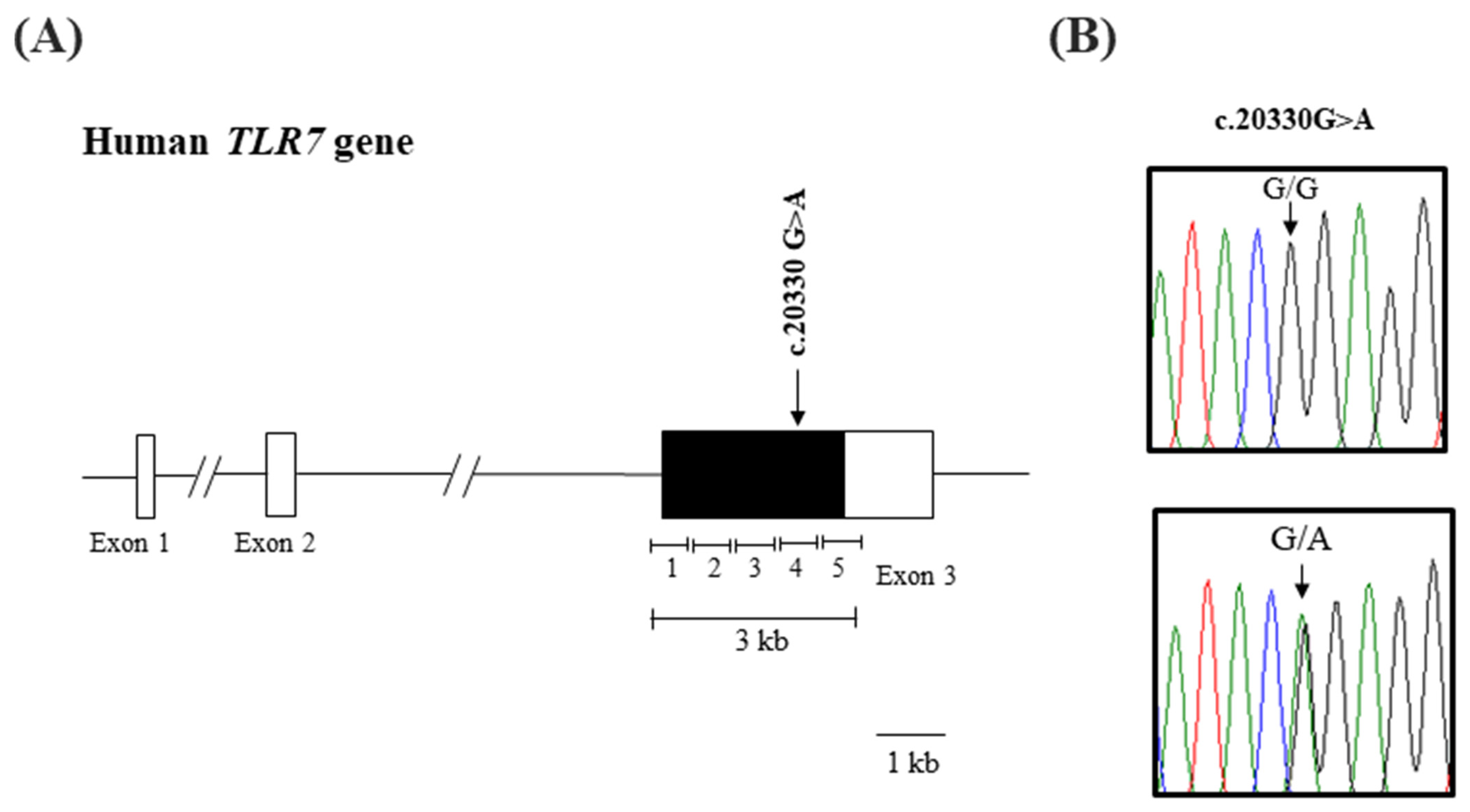 Diagnostics 13 03510 g001