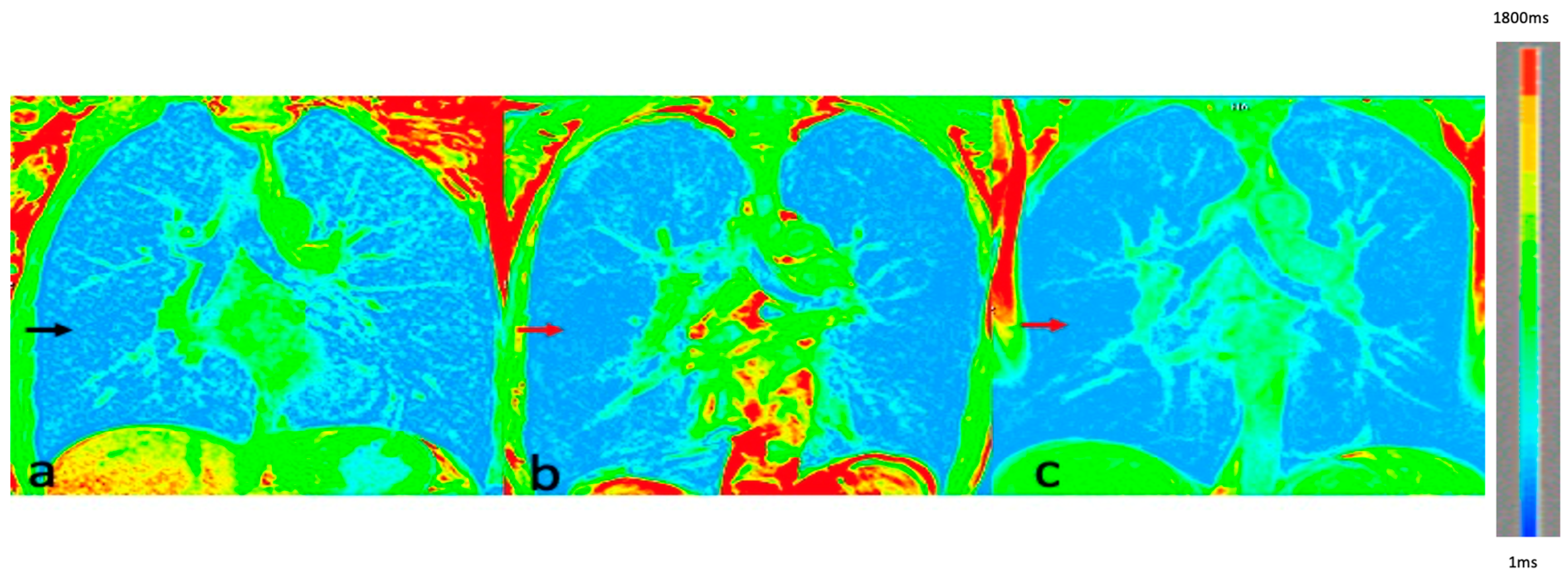 Diagnostics 13 03511 g002