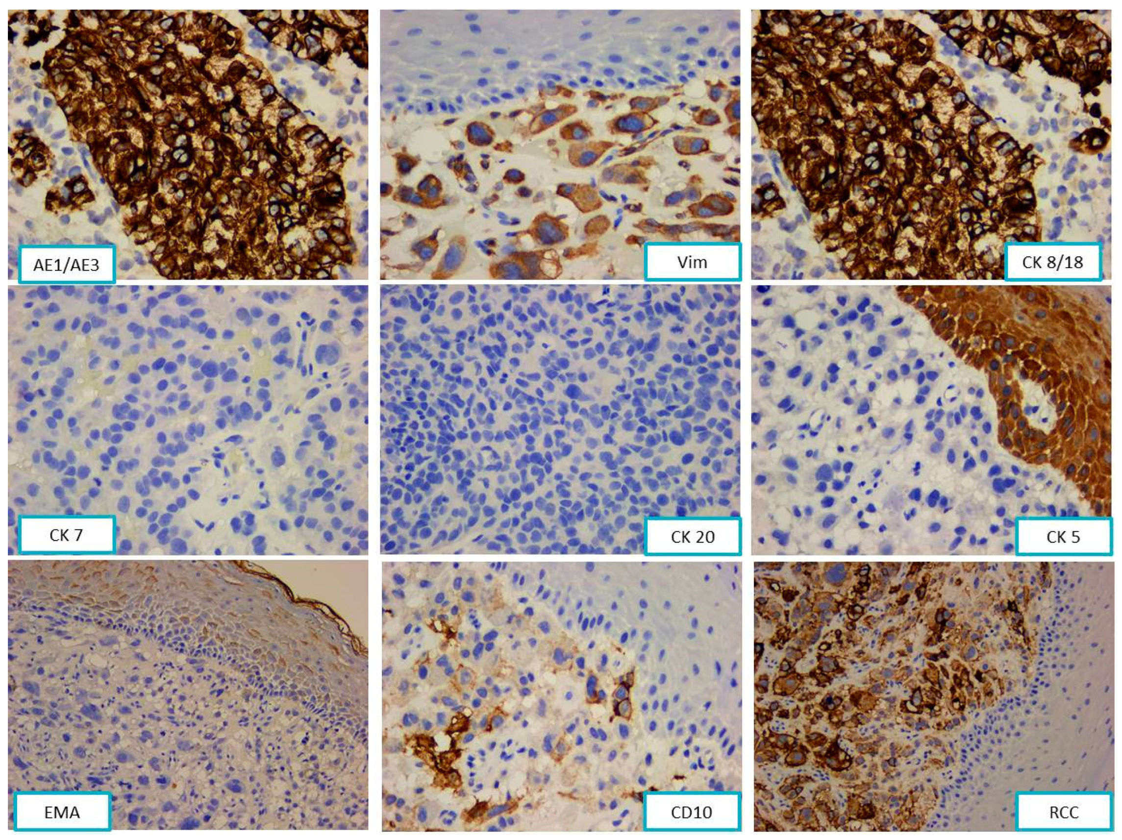 Diagnostics 13 03513 g002