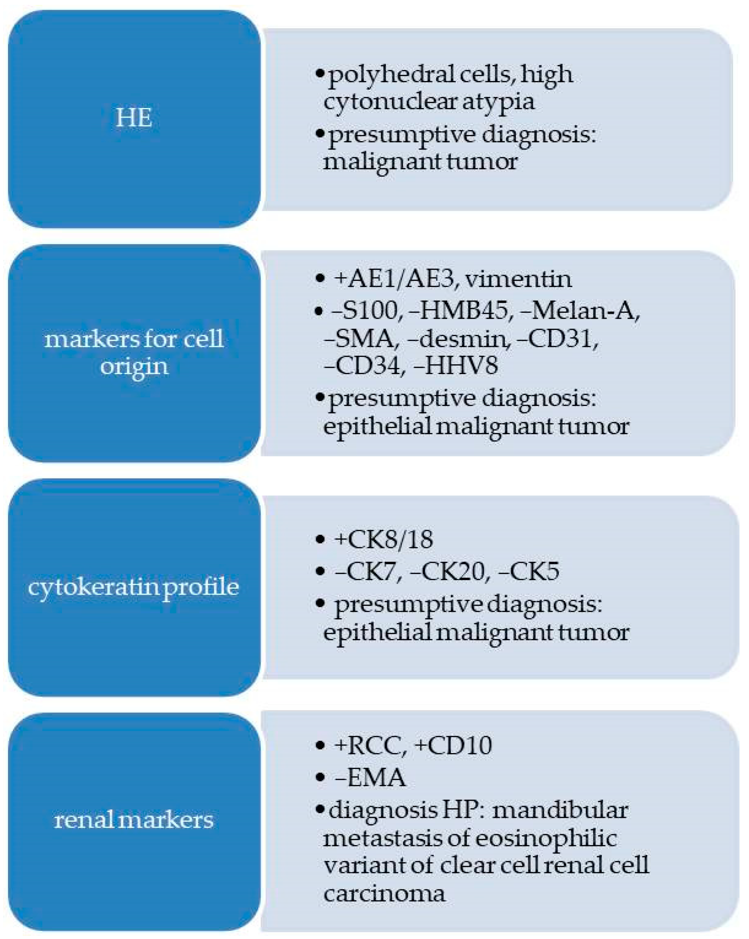 Diagnostics 13 03513 g003