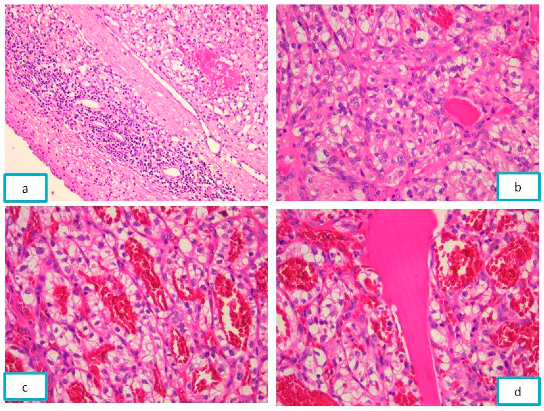 Diagnostics 13 03513 g004