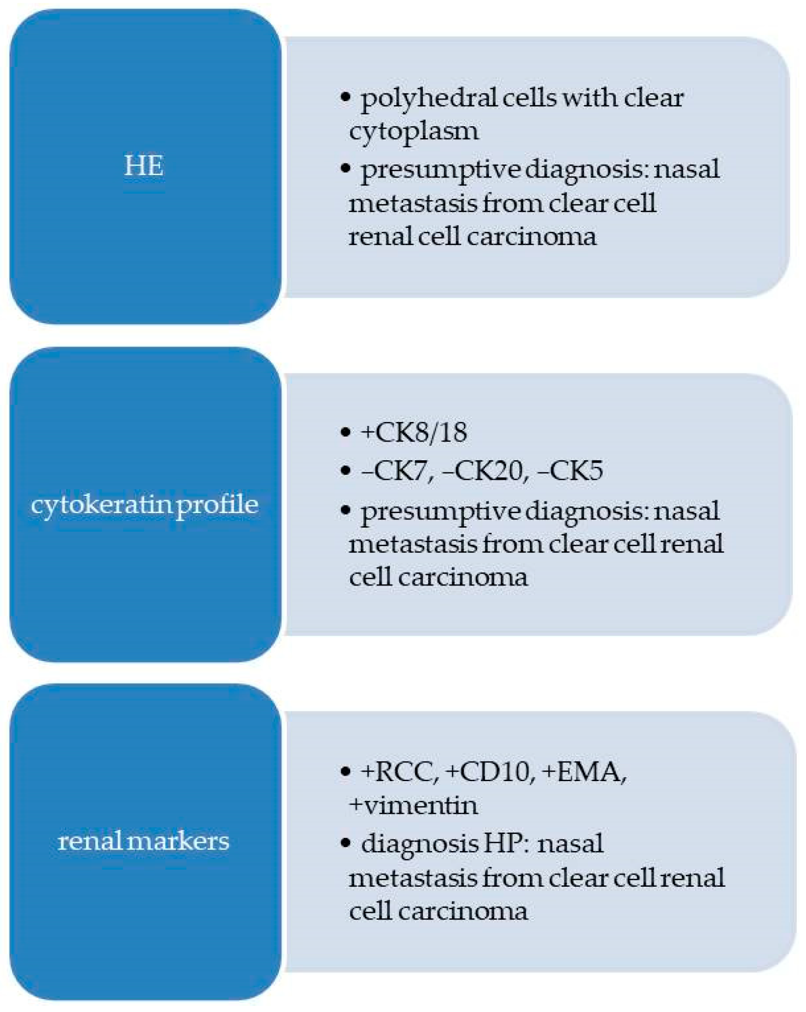 Diagnostics 13 03513 g006